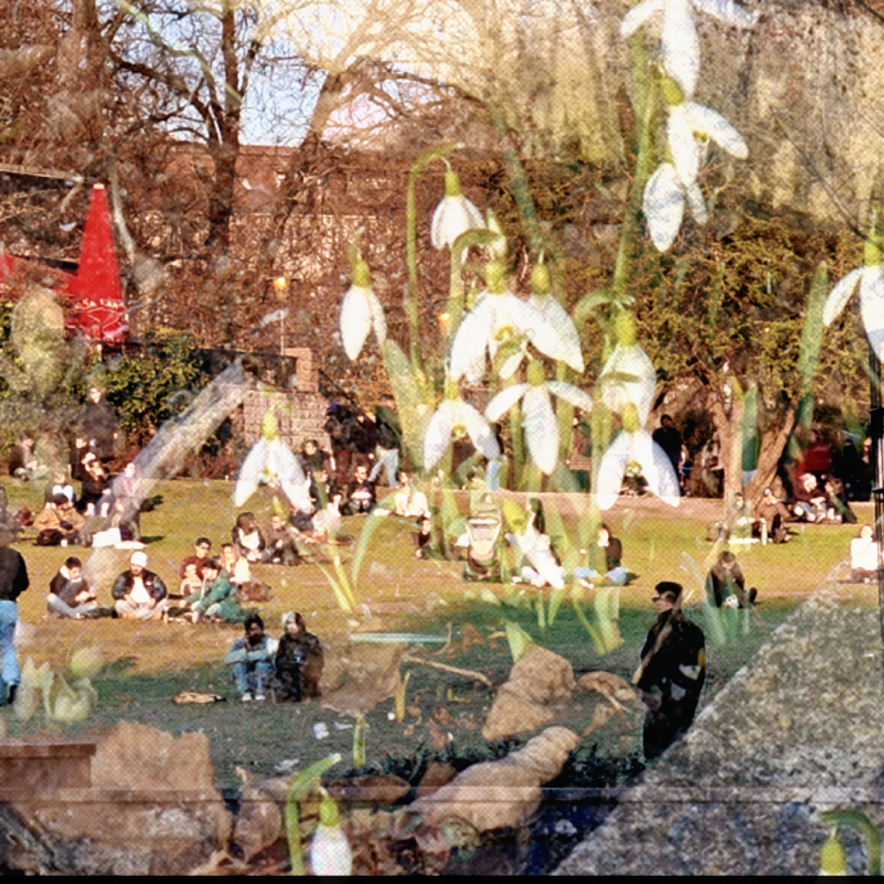 Augury | Aria Gorman