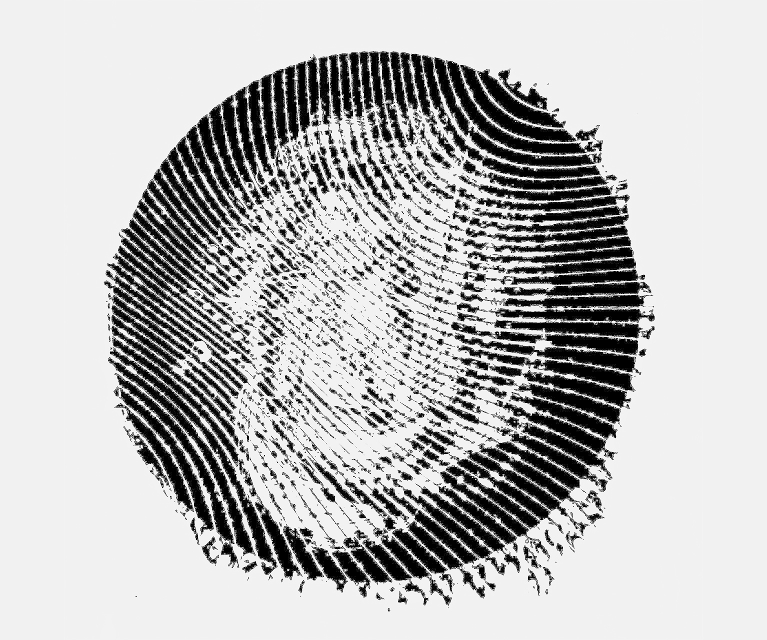 ECO: The ExtraCorporeal Orchestra | SONIC SUPPORT, Abbas Zahedi & Tom Harris