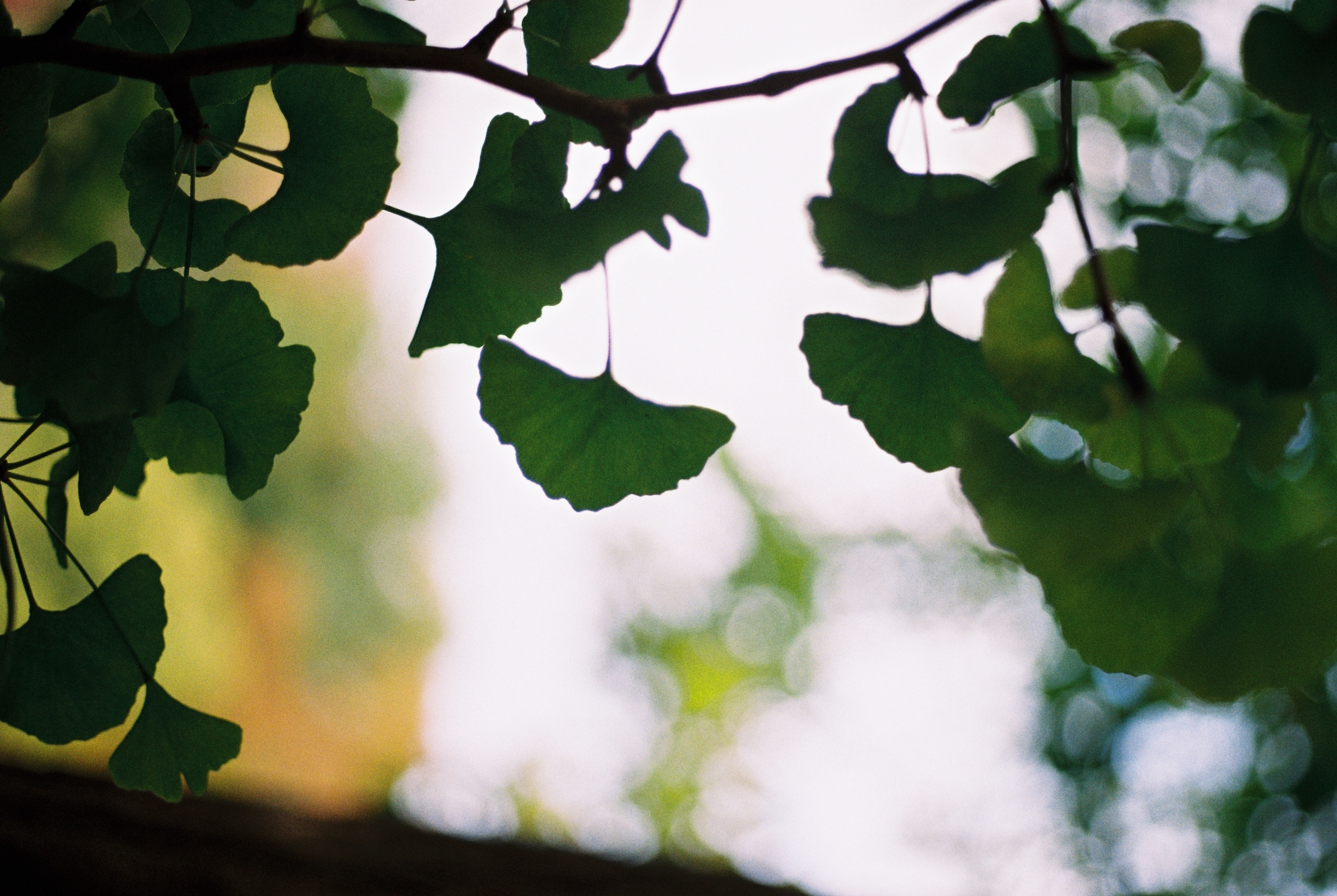 Loose Ends | Kemback