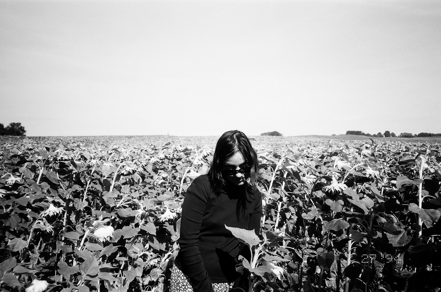 Bad Boyfriends  | Dane Joe