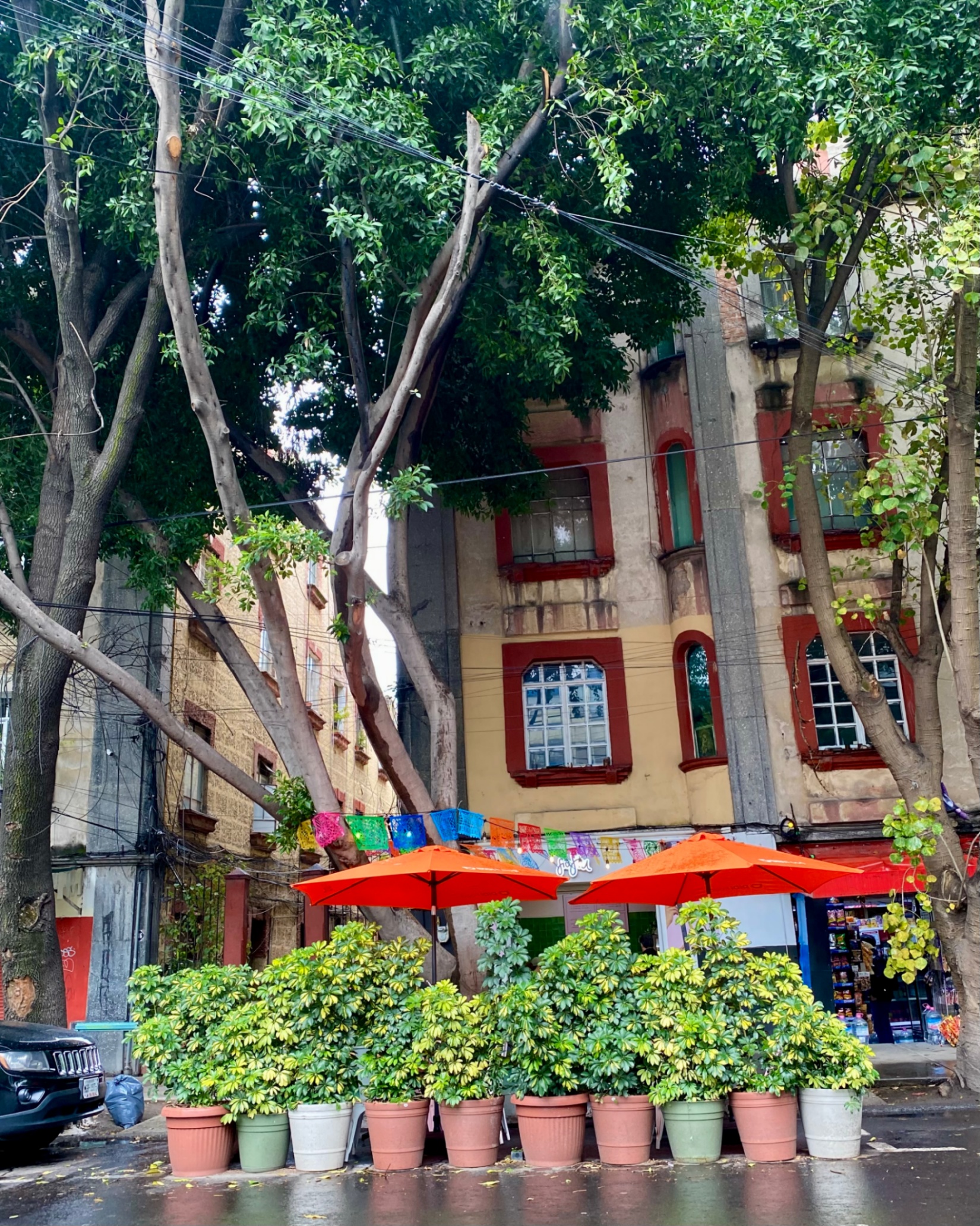 Electronic Music from Mexico | Mareena & Deejay Energy