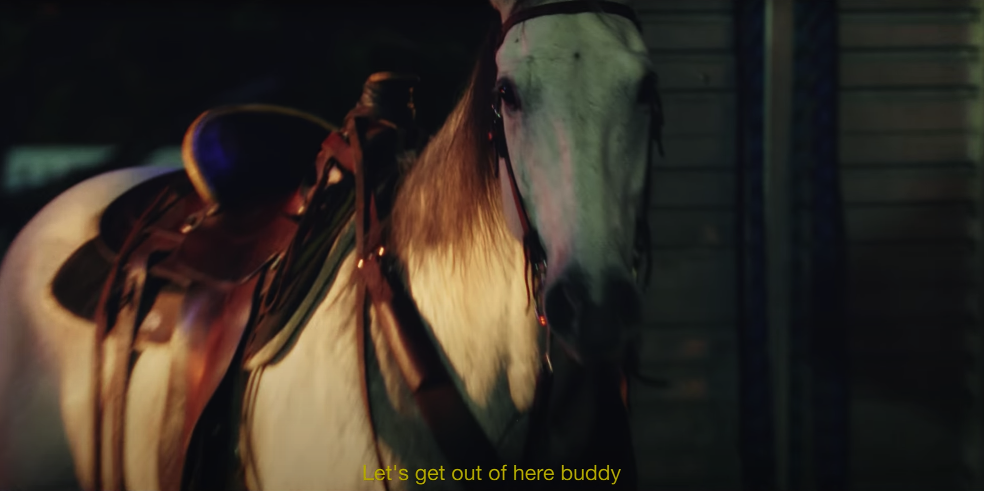 Falling Dogs | Neckbone