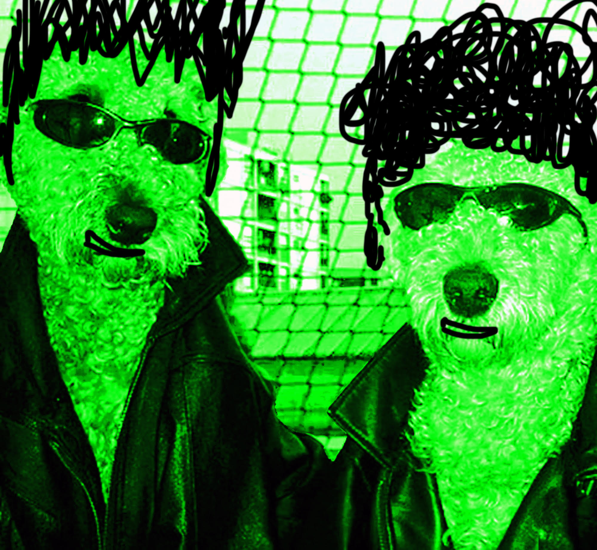 Antenne Warning with Giraffi Dog