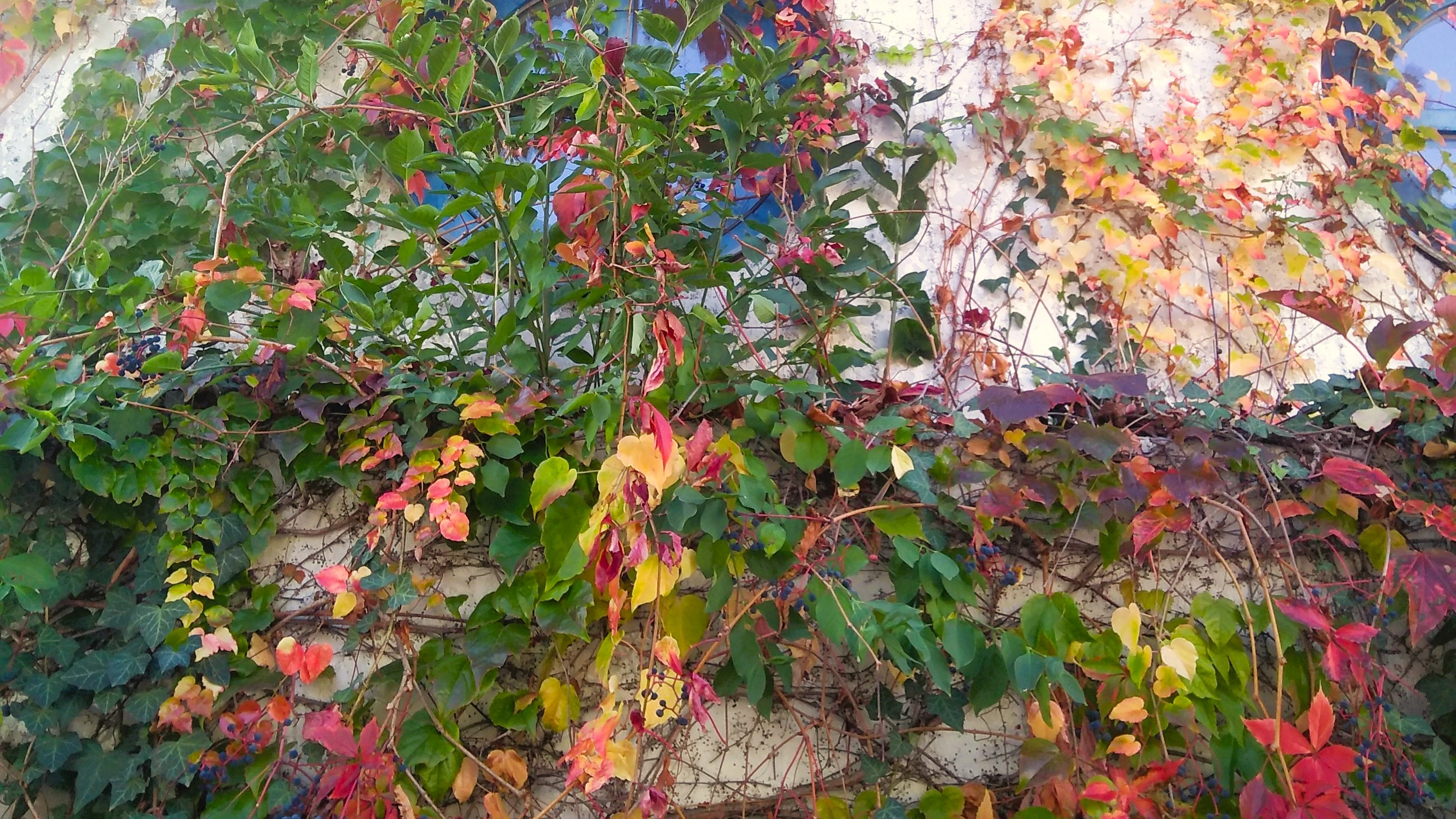 New Massage | Telephones