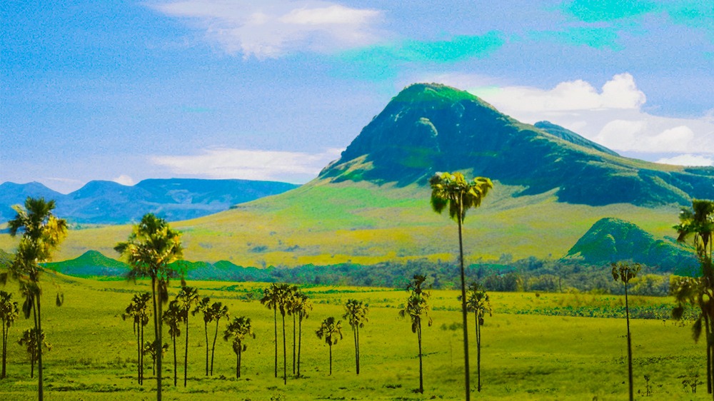 Buriti Session | João Comazzi & Yuzo Iwata