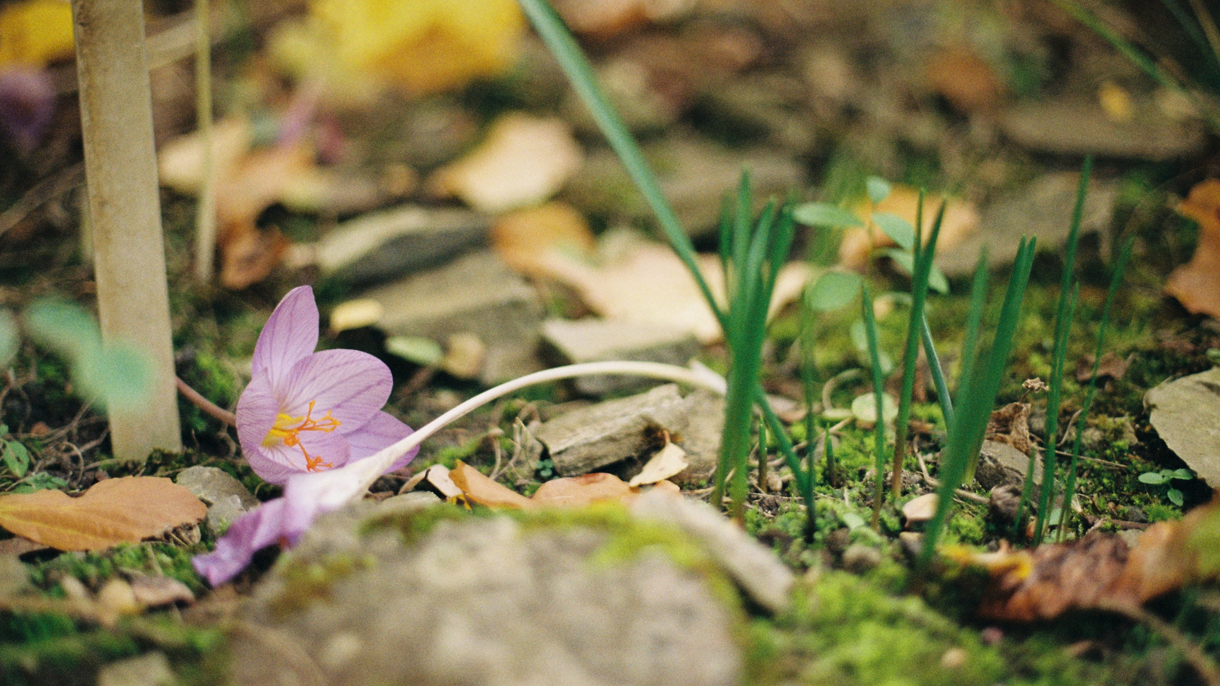 Loose Ends | Kemback