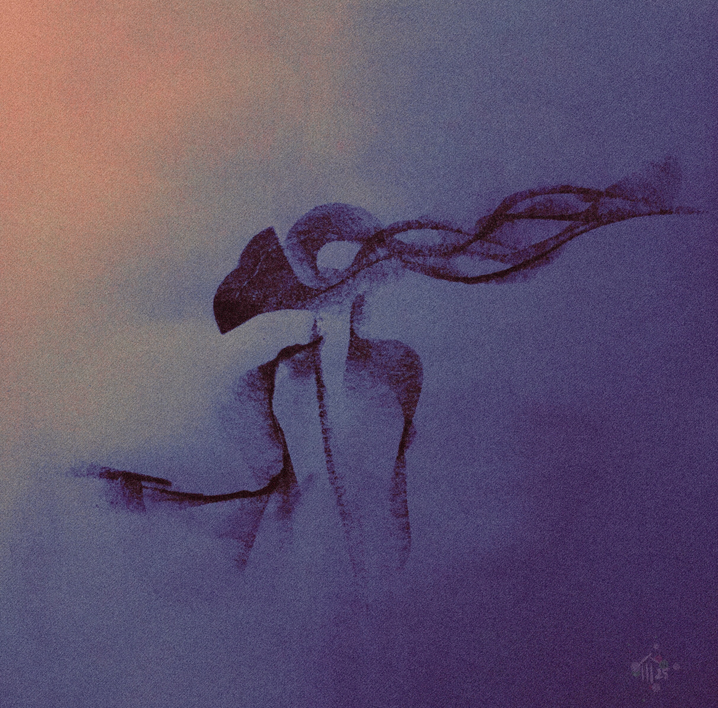 Looking for a flat | Irem Tanriverdi & ANSI