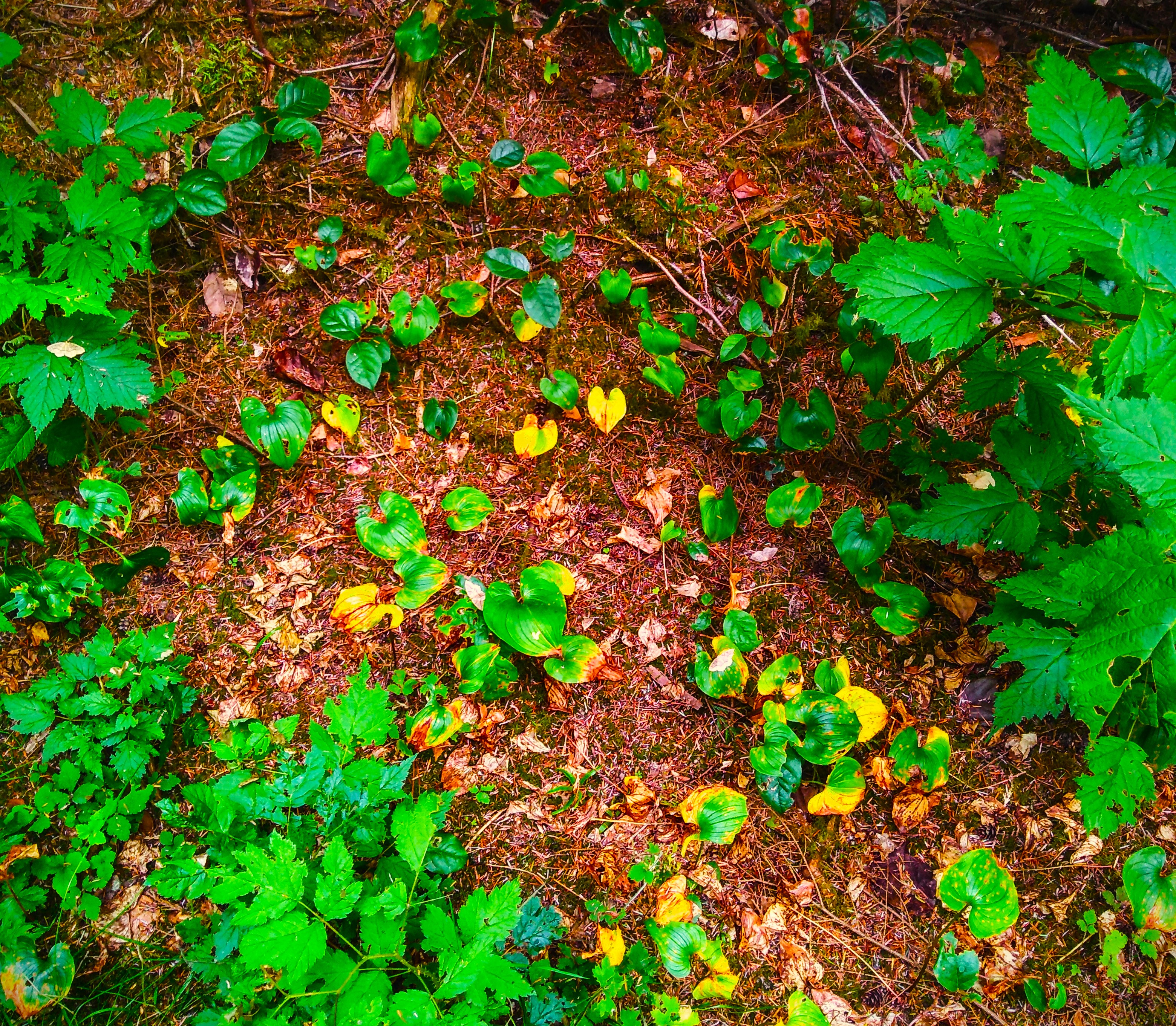 New Massage | Telephones