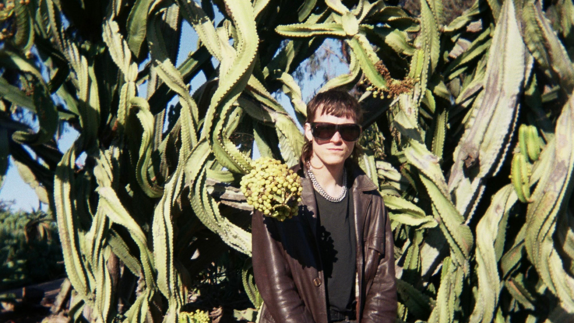 Wild Swan with Dylan McCartney