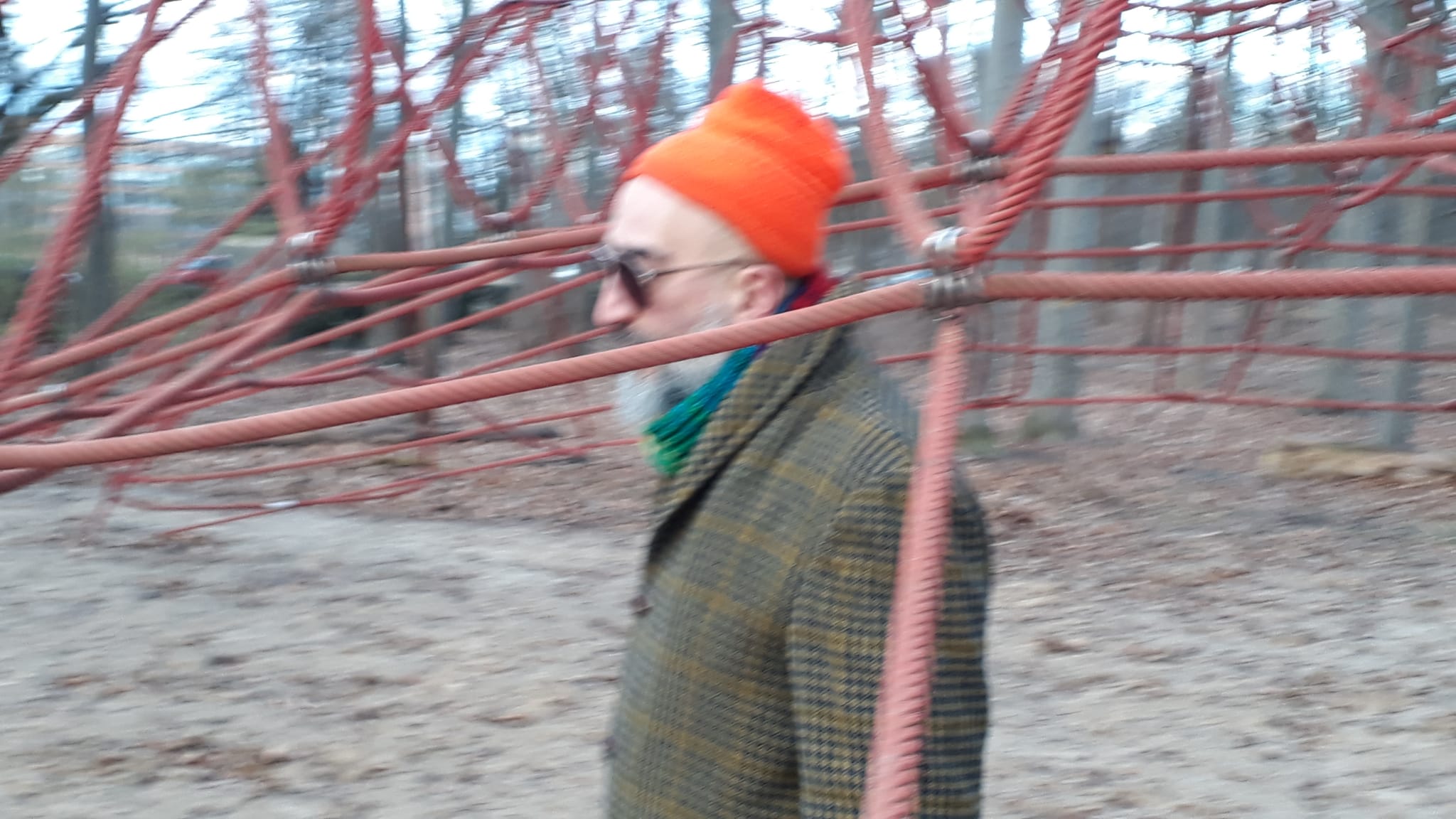 The Busted Bongo | D. Strauss 