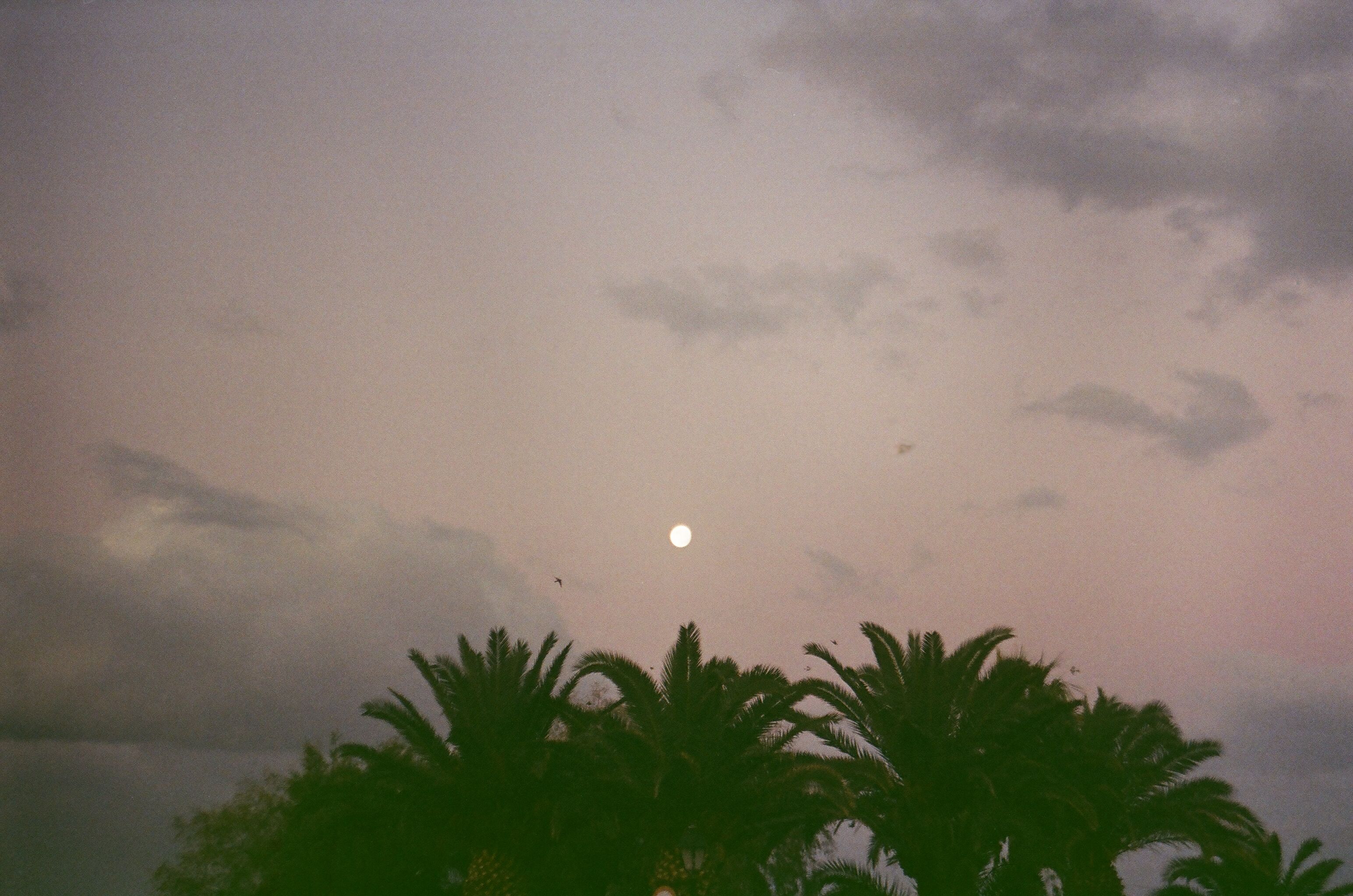 Solar Narratives | George Snow