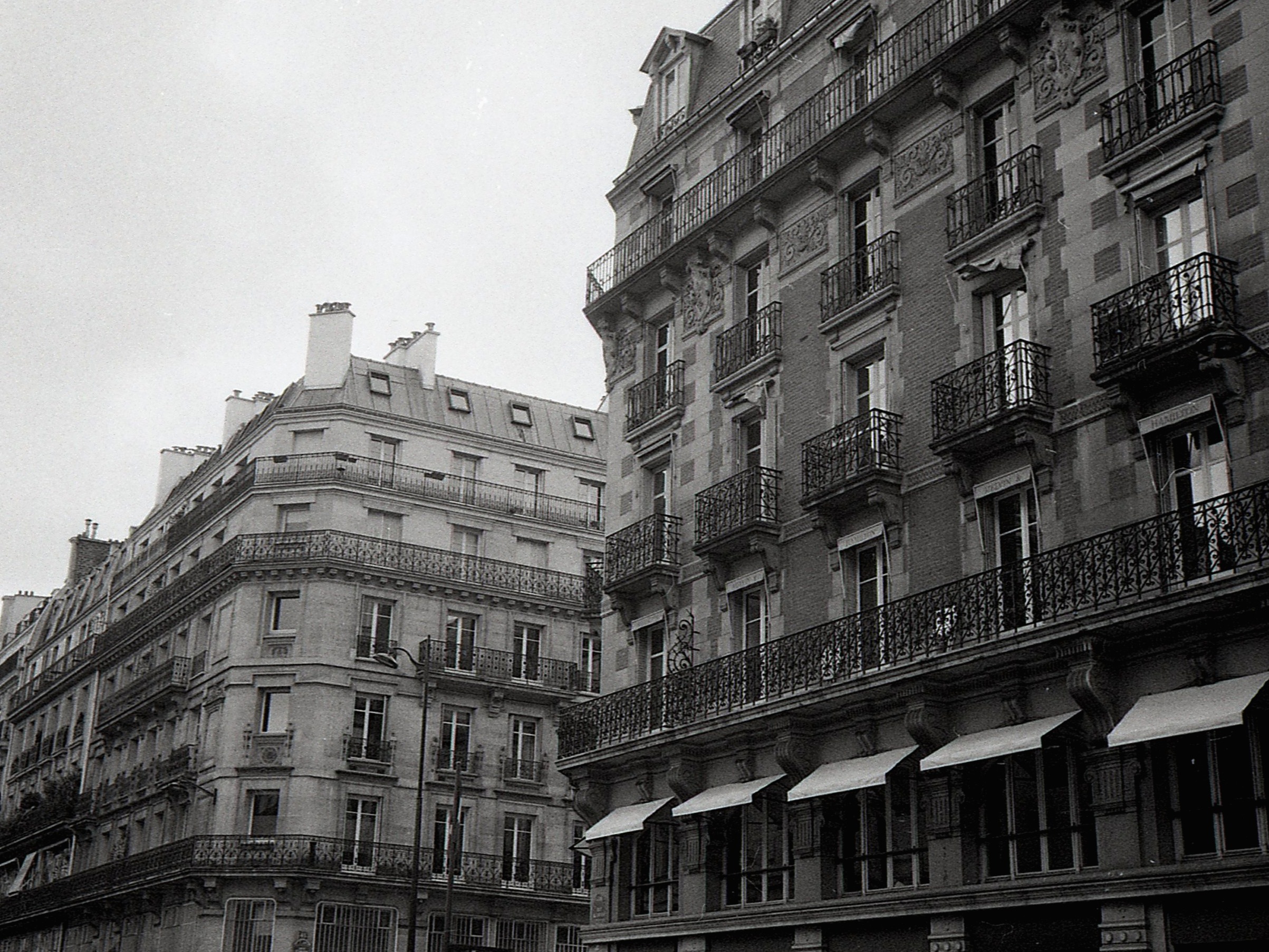 Jungle Heat | George Snow