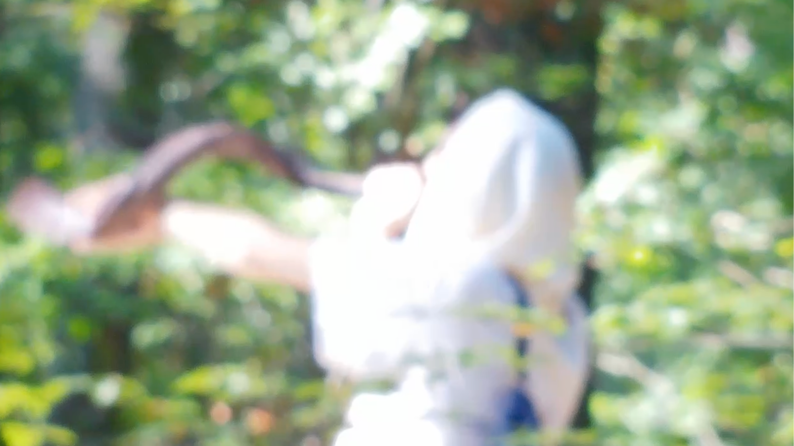 Can I Get a Chayah? Transcendentalism & Judeo-Arabic Culture | Hoyah