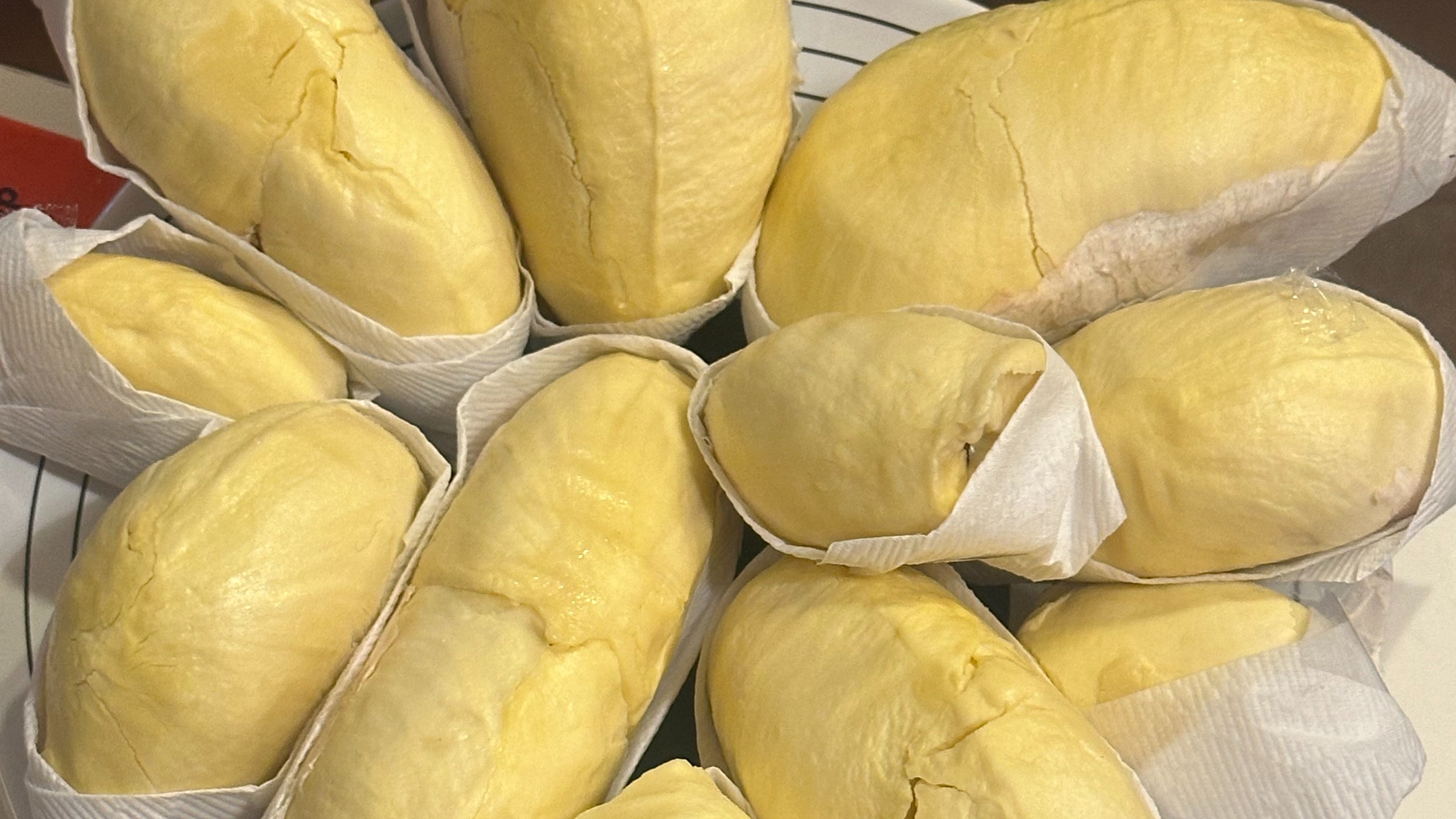 MSG & Friends: Exorcising Time | HANOMANN_O!