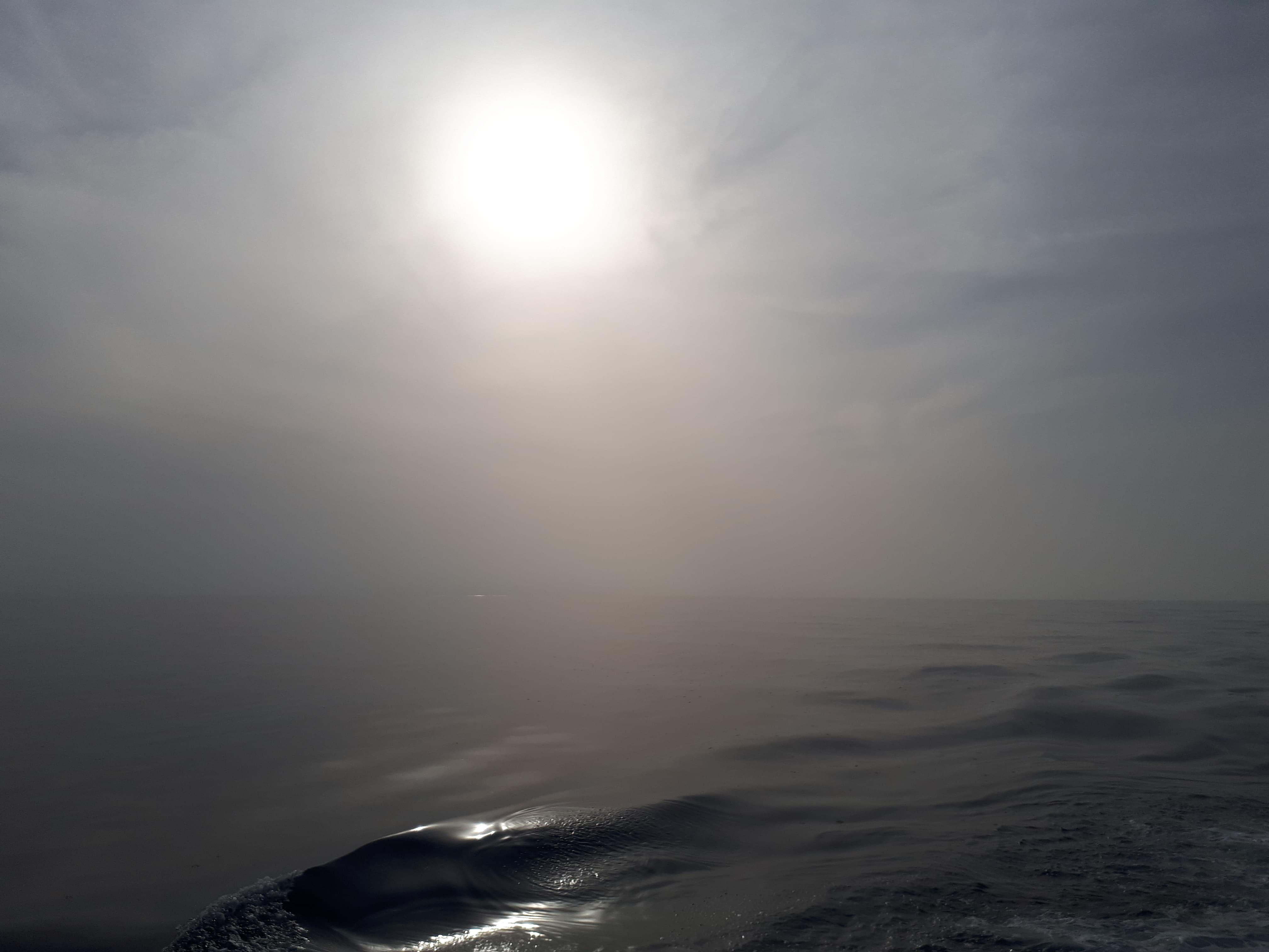 World Oceans Day | Beluga 