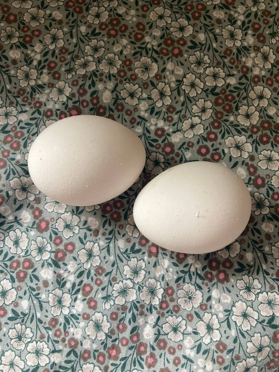 Still On Hold  | Dance____98  & My Brother in Arms