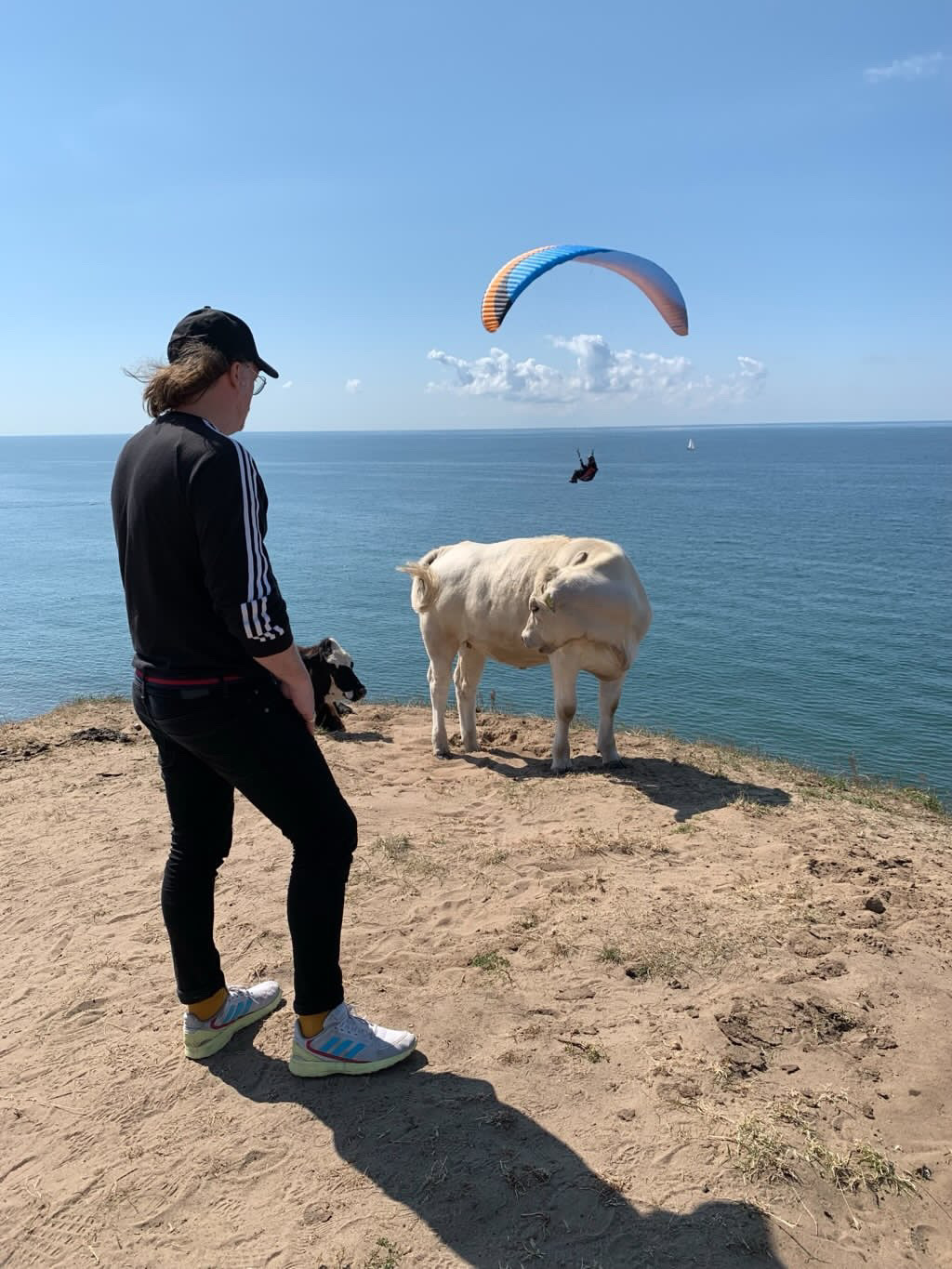 Bubble World | The Field