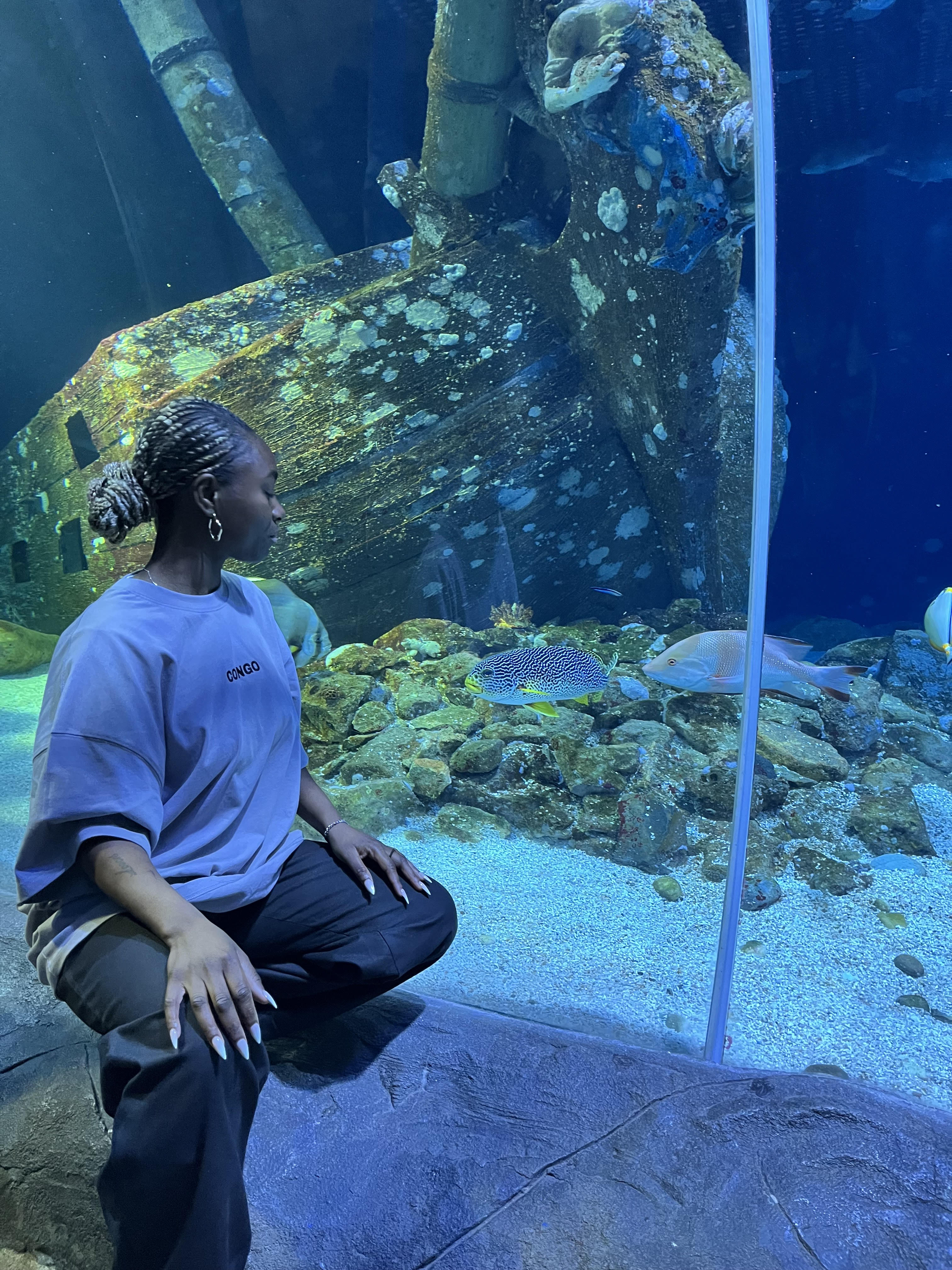 Sugar Machine | Josiane, Gima & makahaun