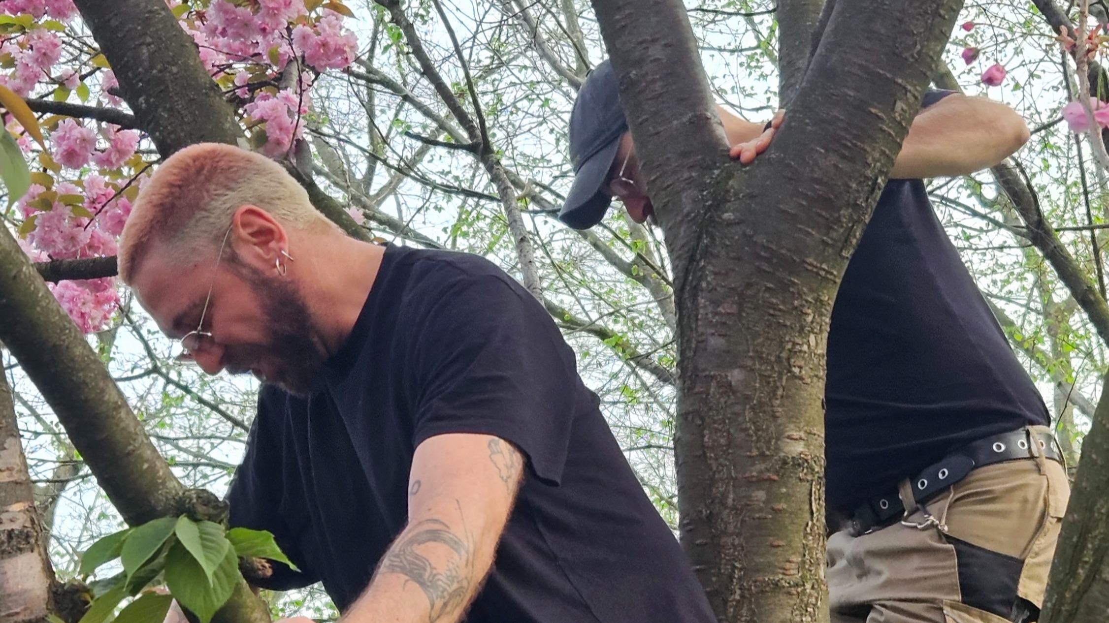 HOMODROP | CHERIII & VICTOR KUBIN 