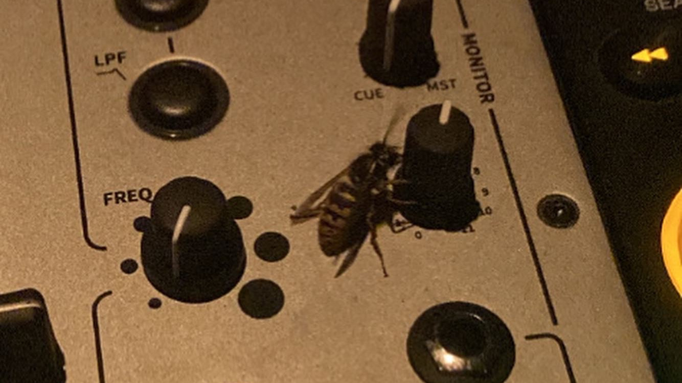 House Special | DJ Shahmaran 