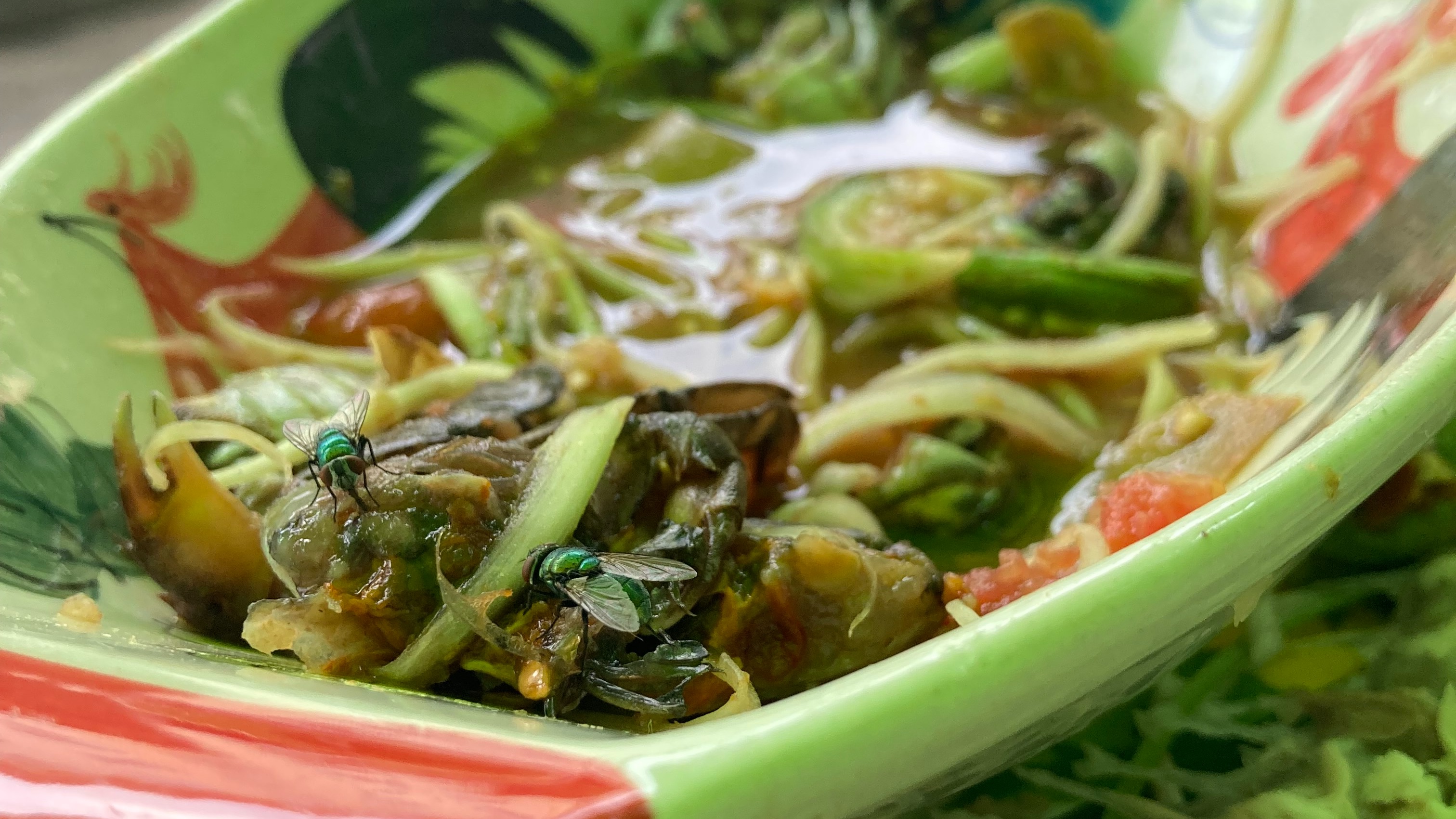 Starboard Show | Dommie Soup