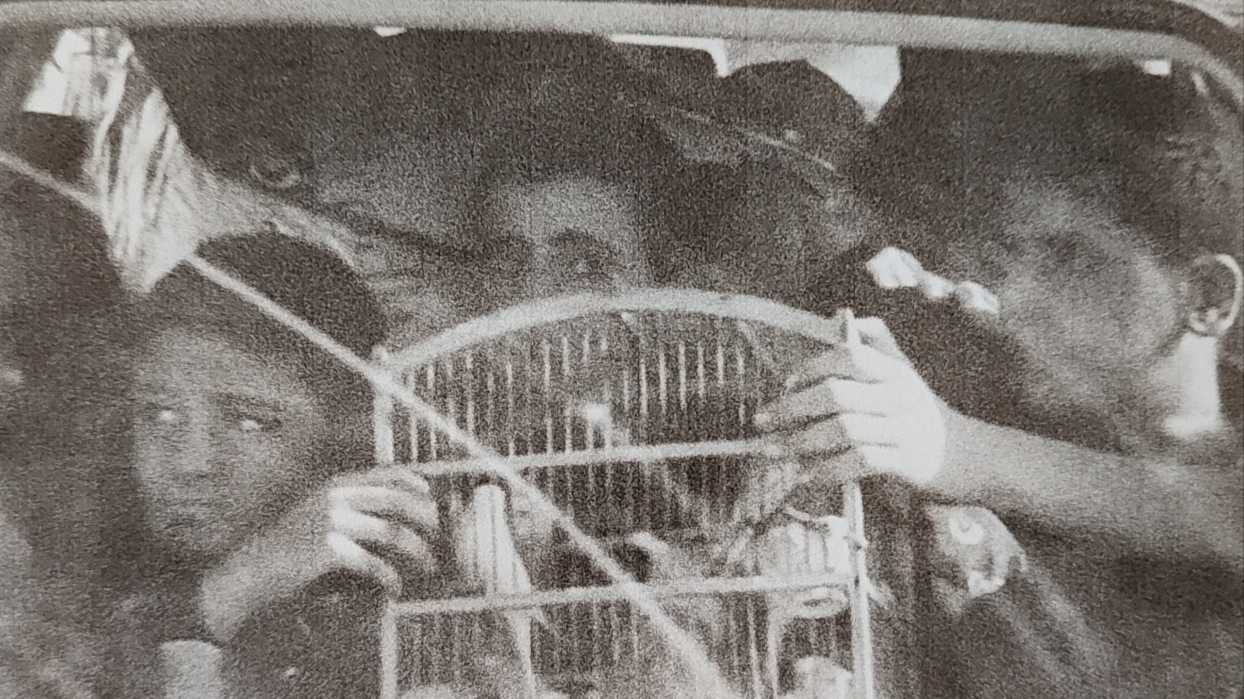 Rabble Rousin | Lupercia