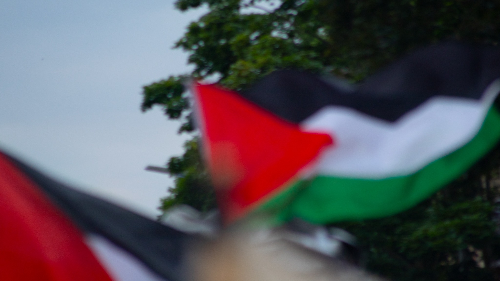 Residency | lady and the score