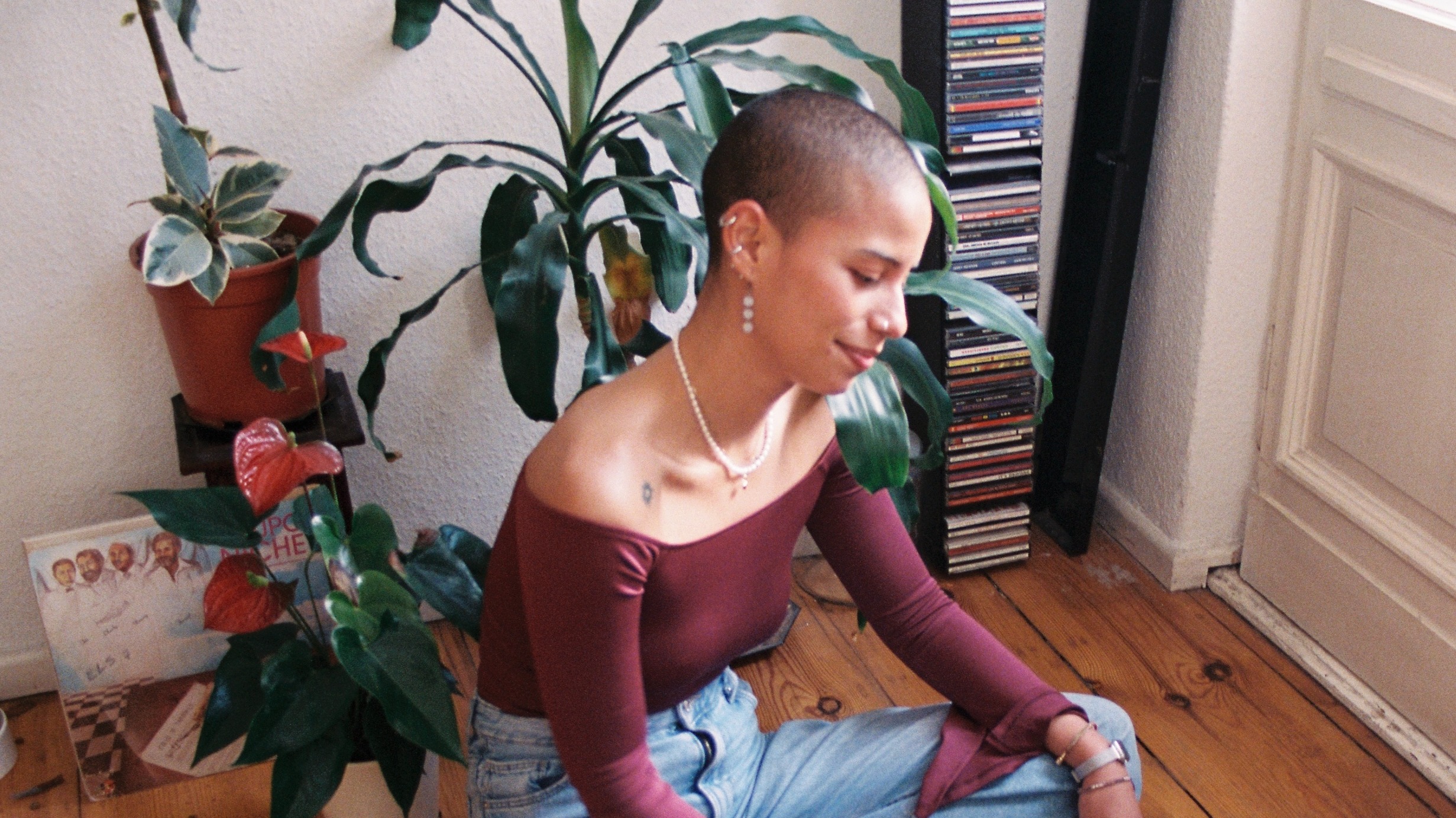 Miercoles de Salsa | Dracaena