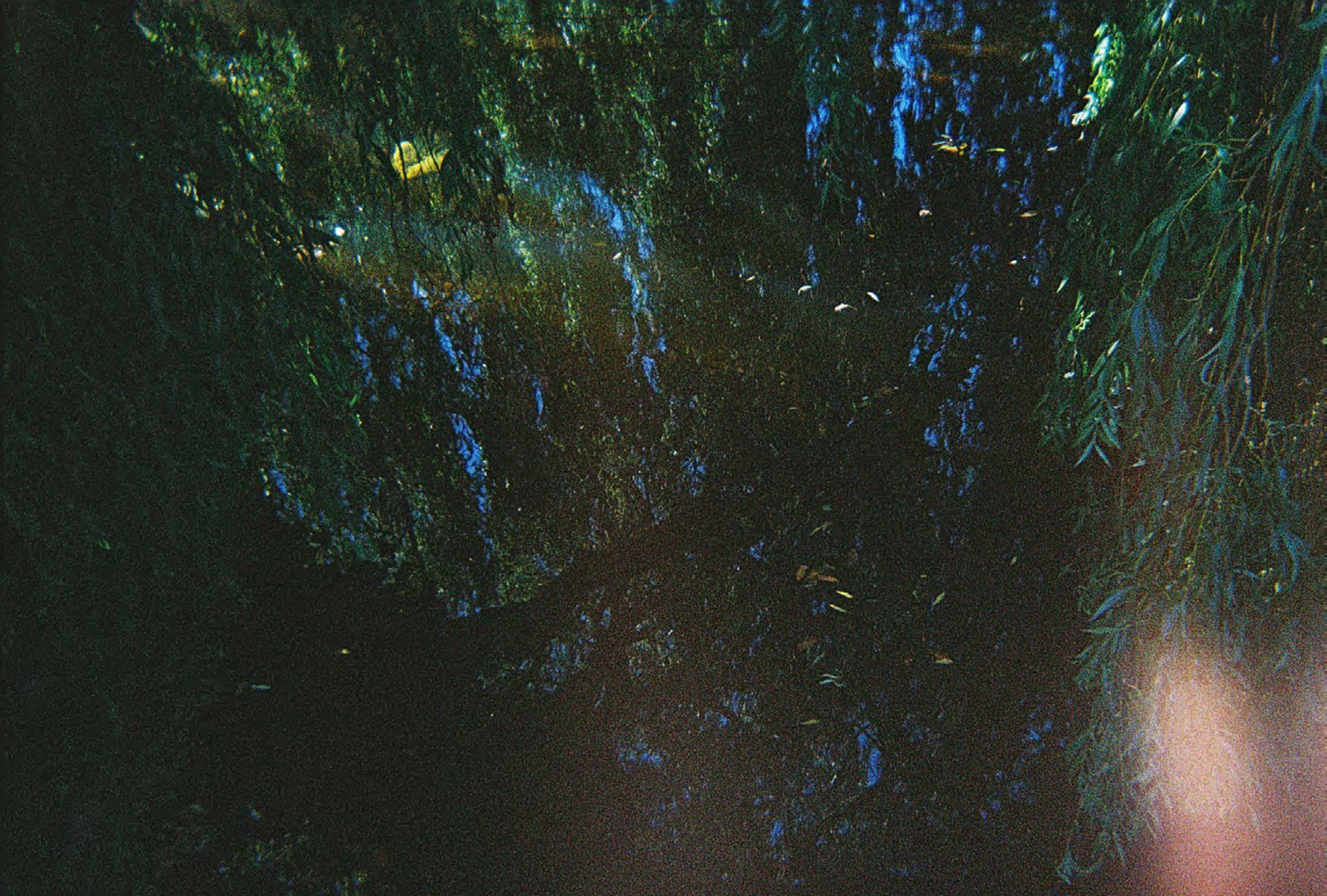 Fast Castle with David August