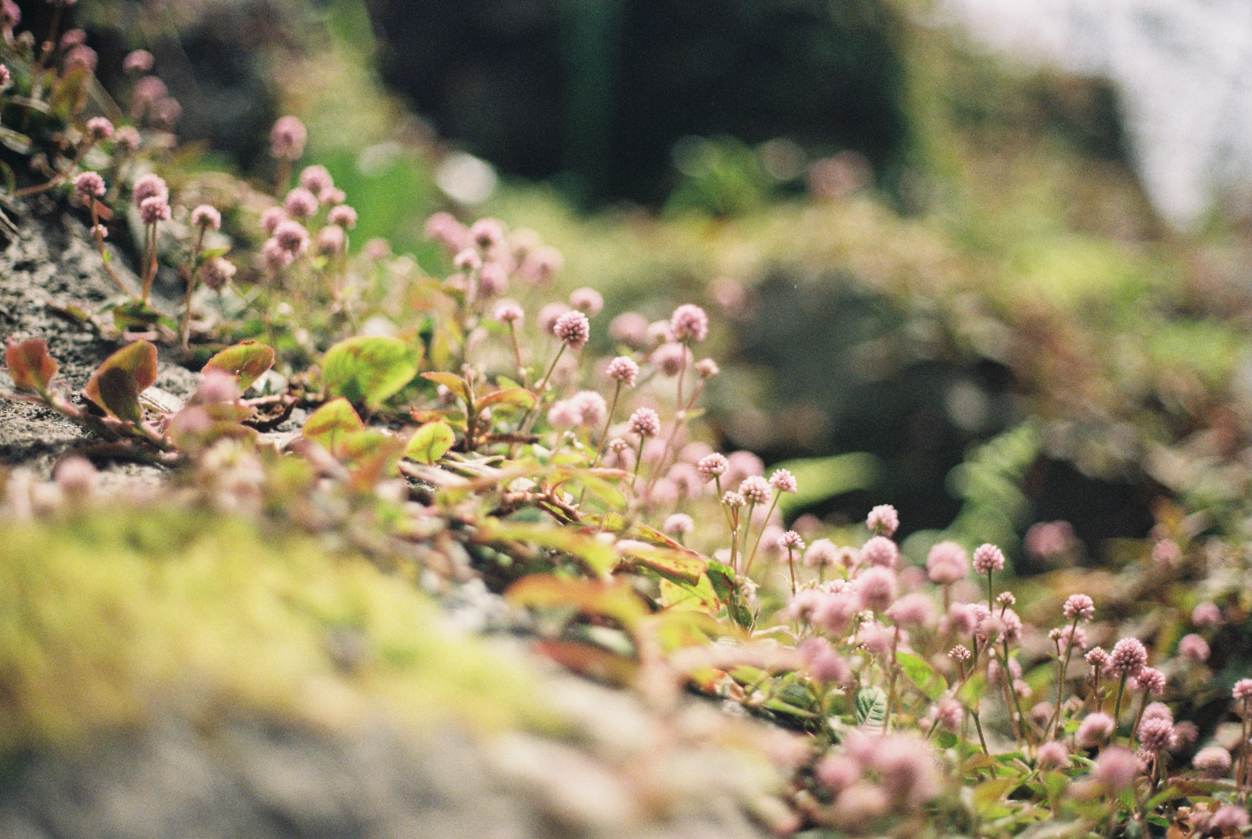 Loose Ends | Kemback