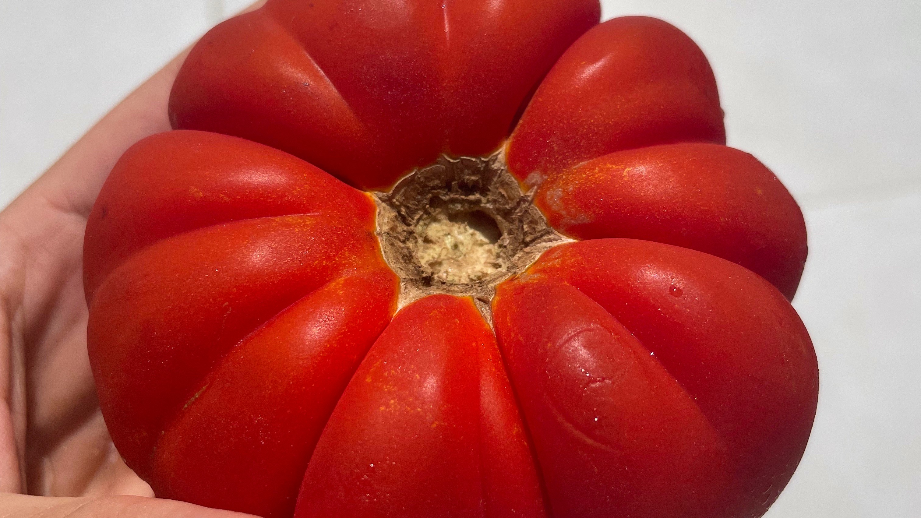 Under The Influence | Lz MC Can