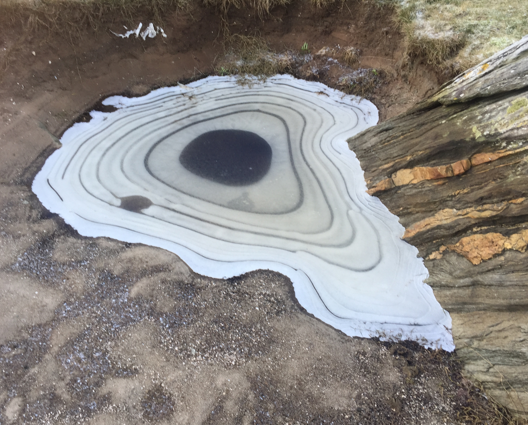 EXIST | Snorre Sjønøst Henriksen