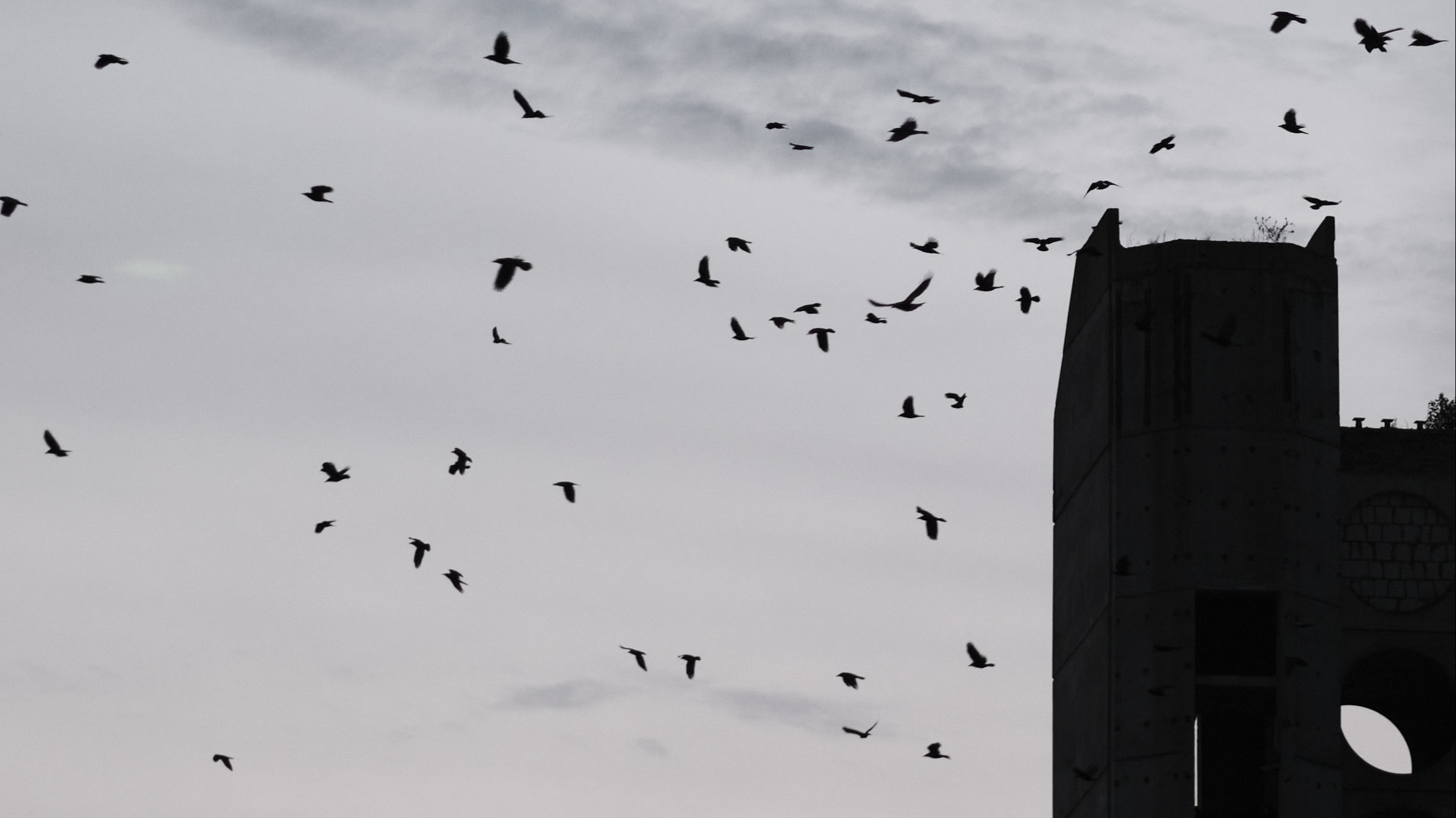 With Love from Palanga | Kauno Fonas, Oyster & Less Feeling