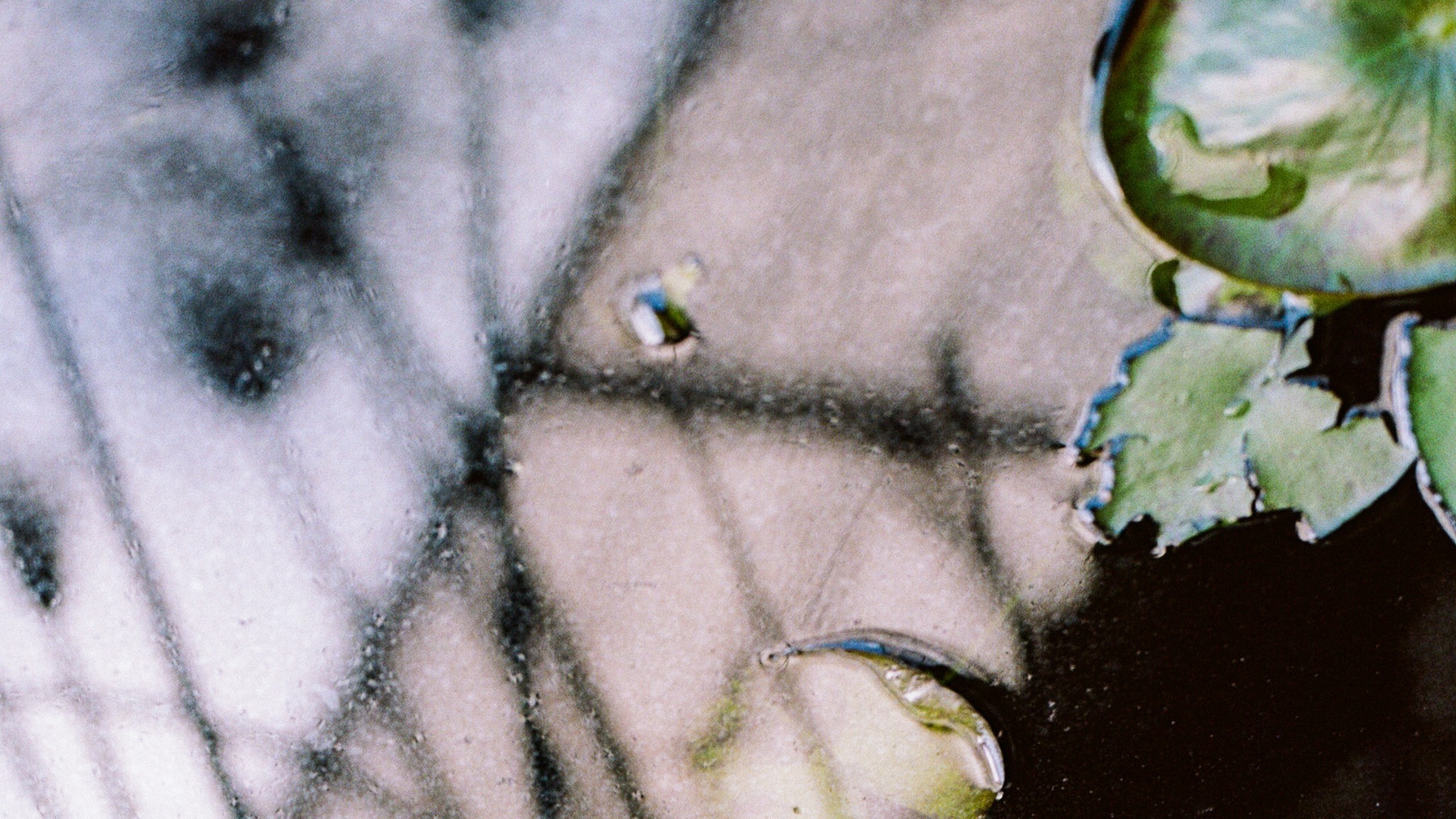 The Heroic Dose | loket & John Loveless