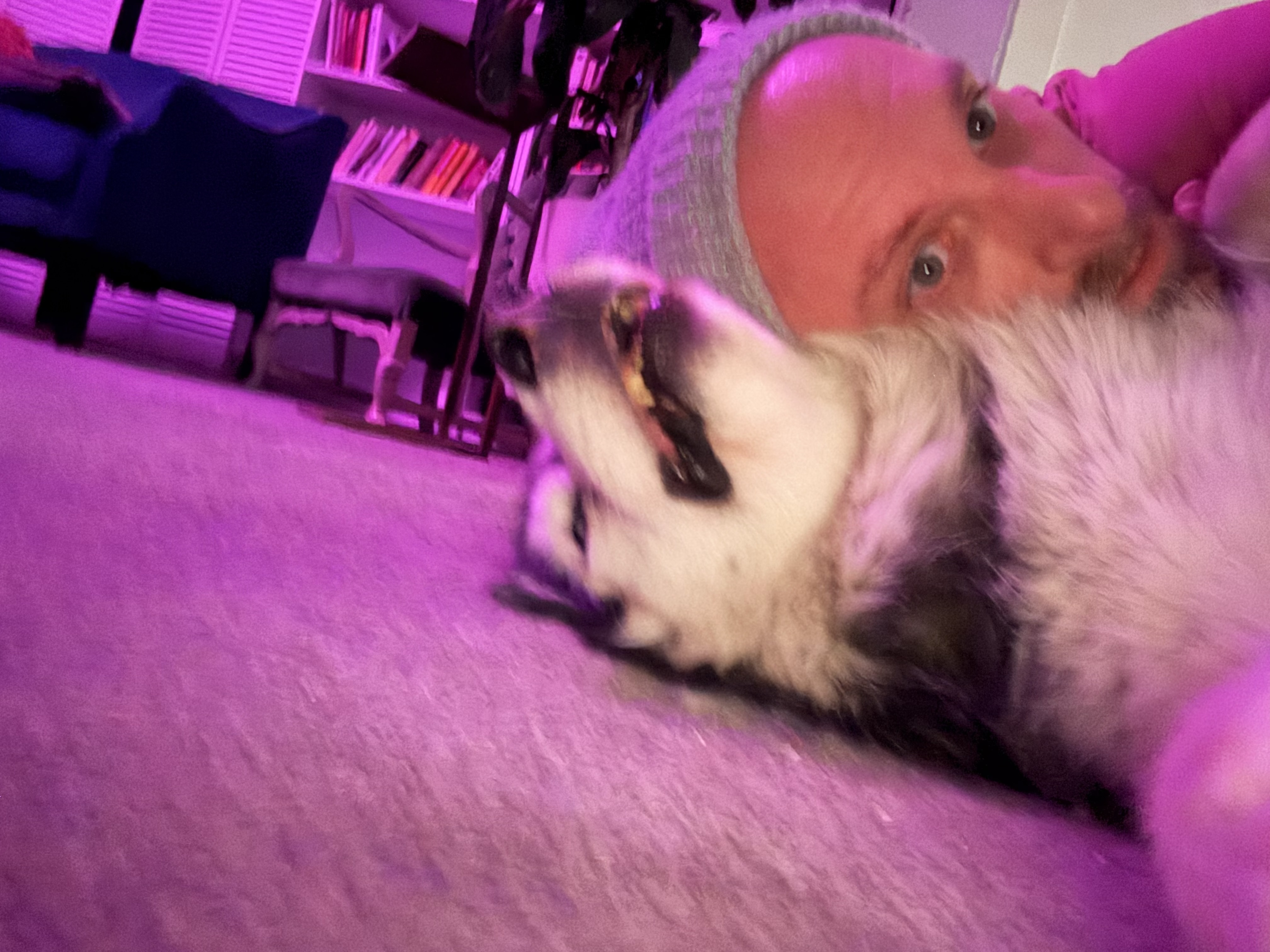 Partisan Records | Dan Yocom