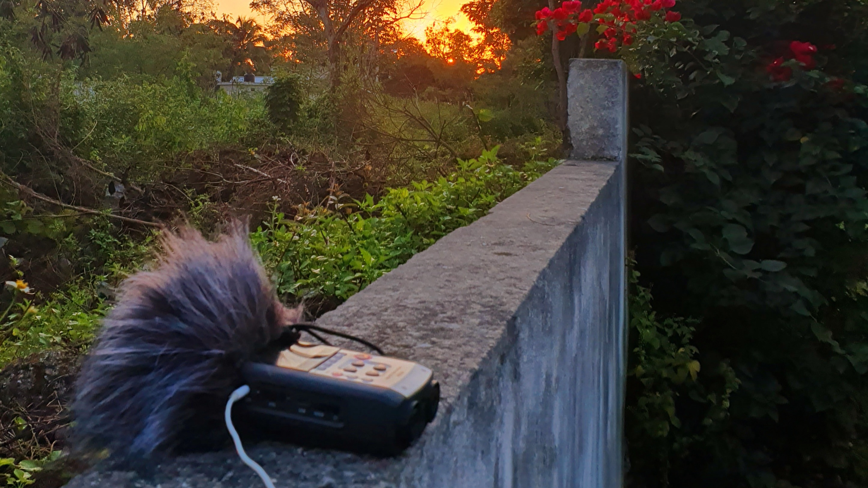 The Move 78 Show | Aver