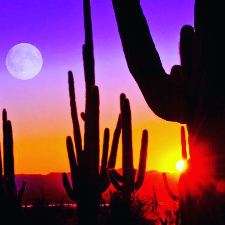 Contemporary Adults | Faye