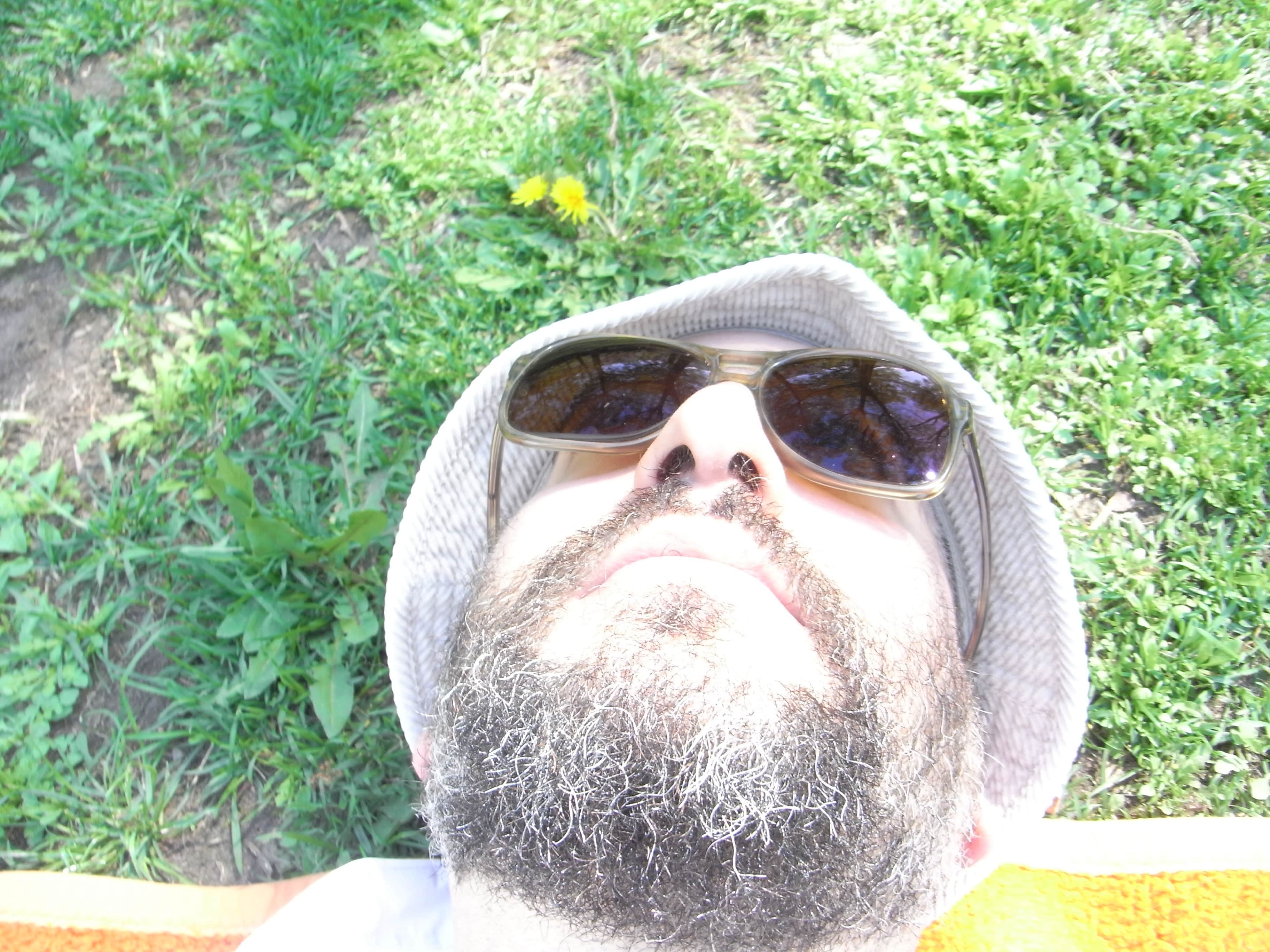 The Busted Bongo | D. Strauss