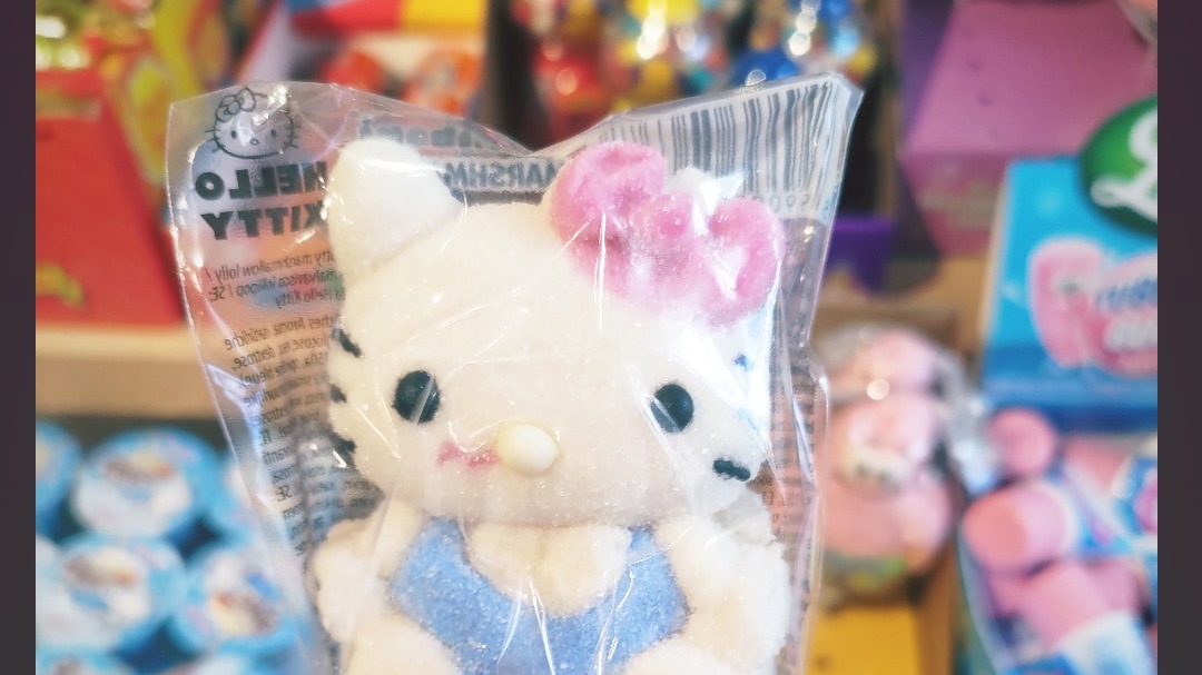 Why kitty's nose bleeds? | Sabiwa