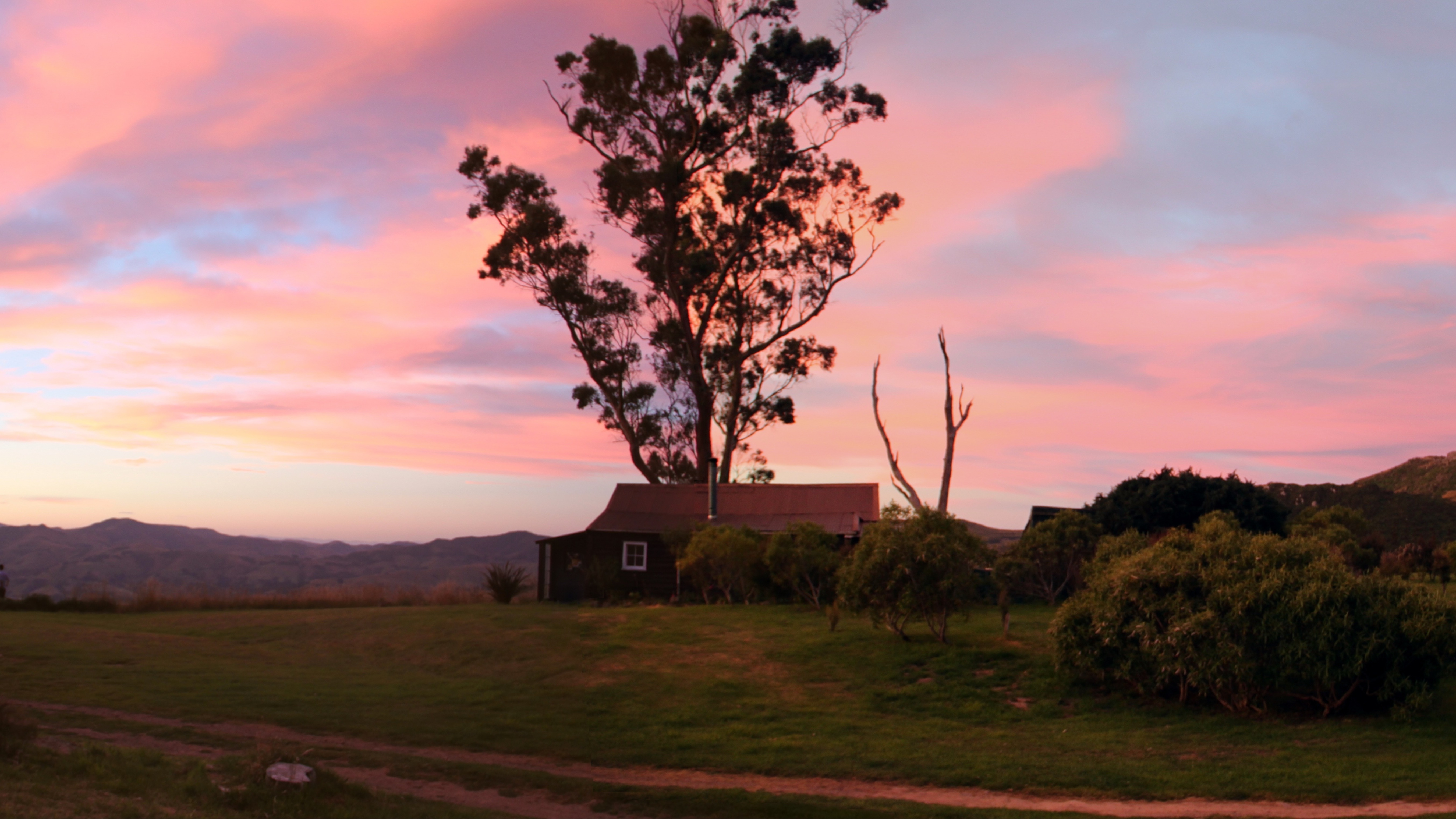 Lost in Transmission | Madame Shazzzam