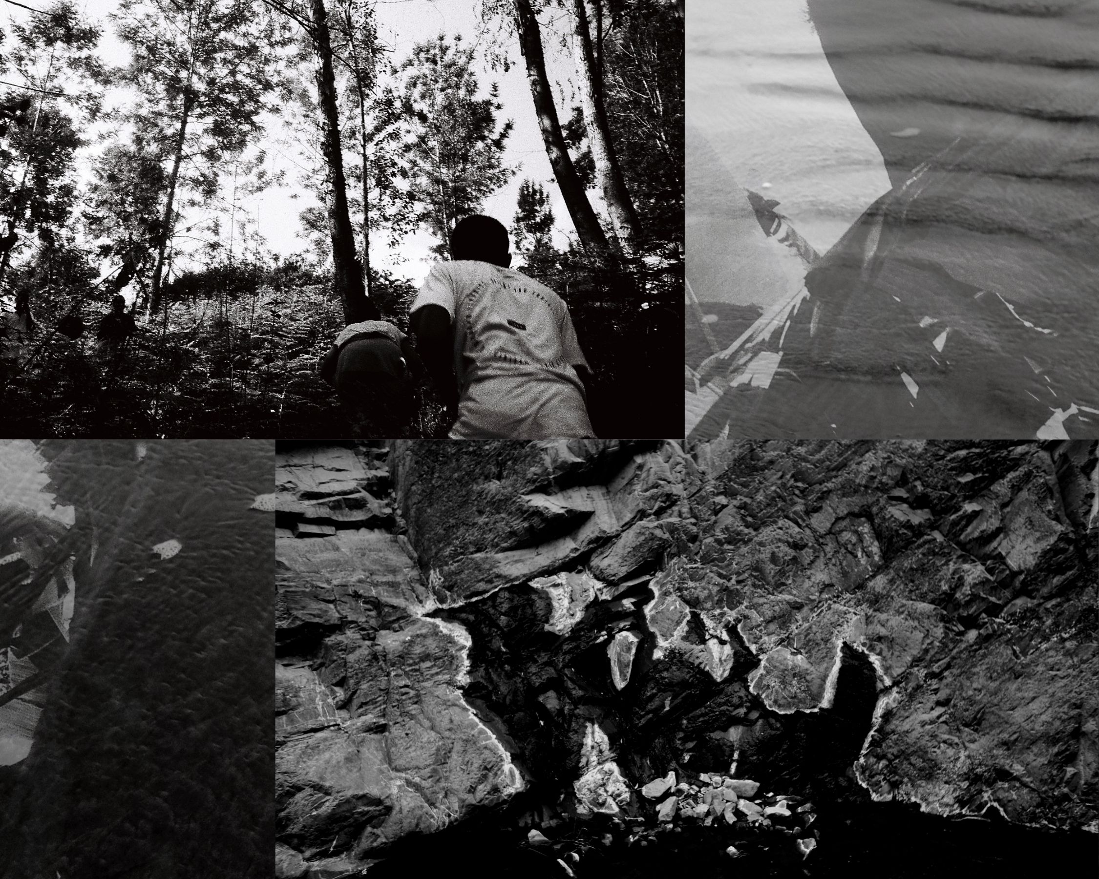 of the earth and above the water / a twelve clawed grasshopper | Shiru & Edós