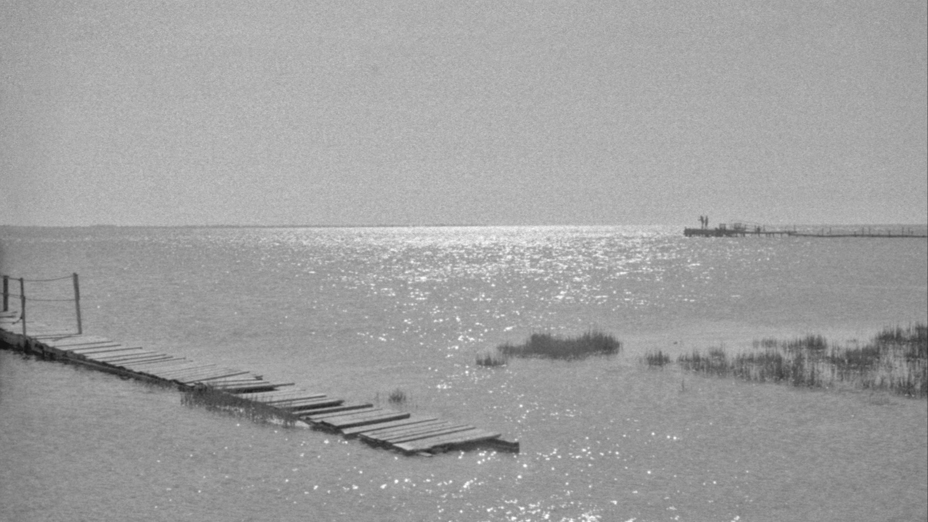 Interlude | Mohamed-Ali Ltaief 