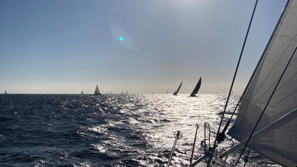 Starboard Show | Dommie Soup