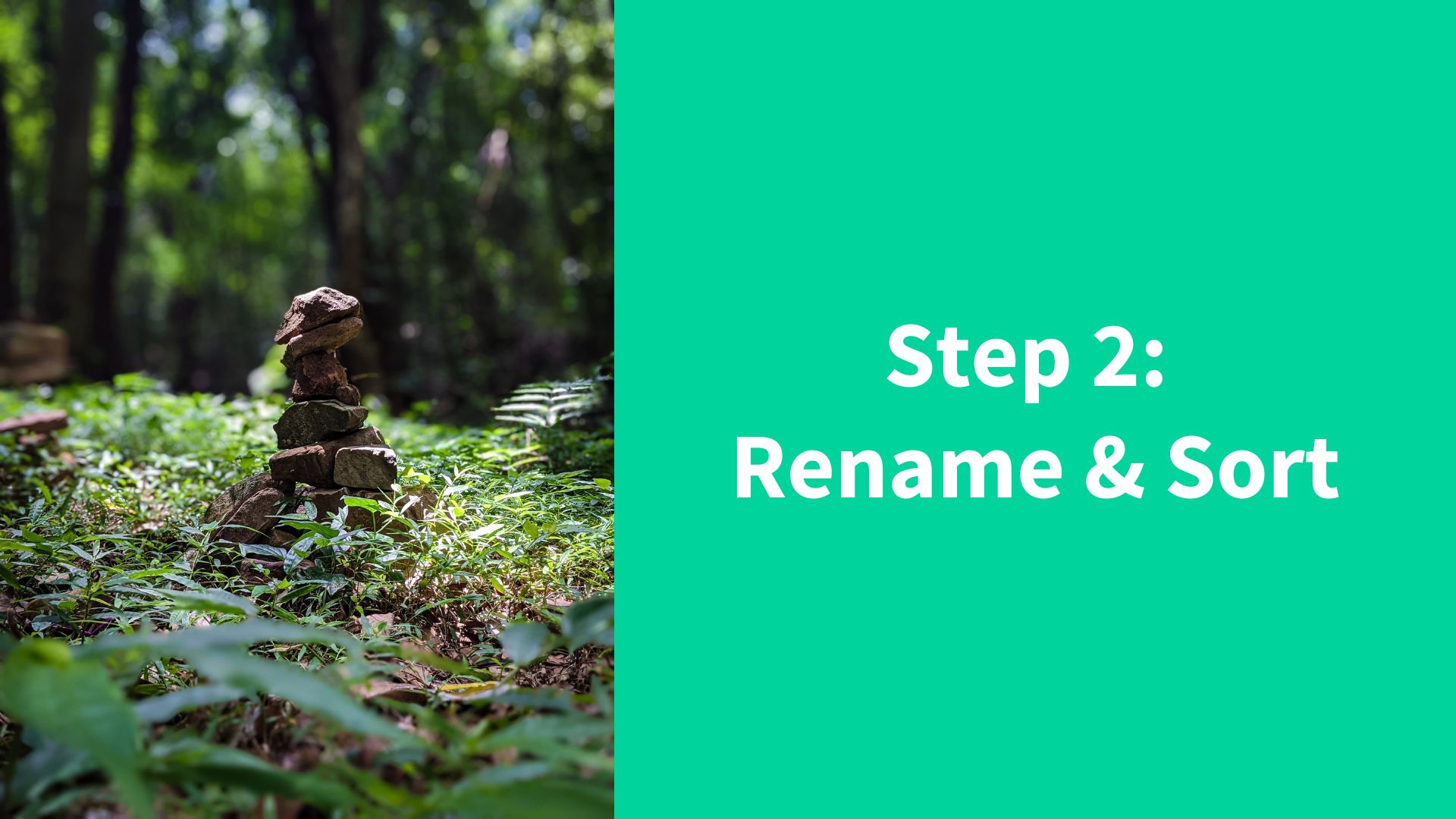 Step 2: Rename and sort assets in your image library