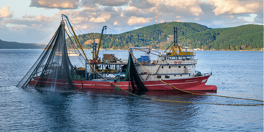 photo-industries-fishery