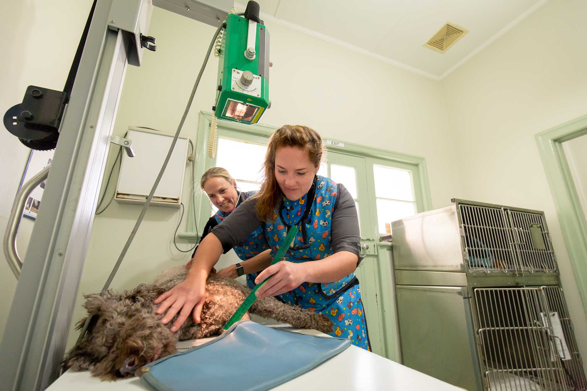 Station Street Vet Clinic