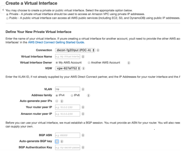 Create a Virtual Interface Per Circuit AWS Direct Connect Screenshot