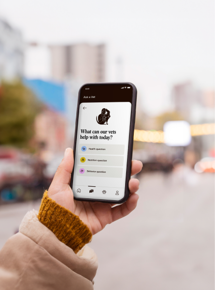 Woman holding a phone with The Kin