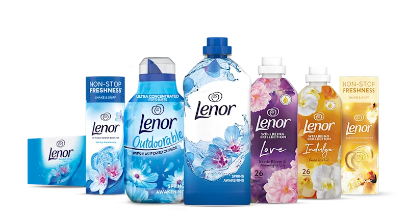 Petals And Molecule Model On Gray Background.