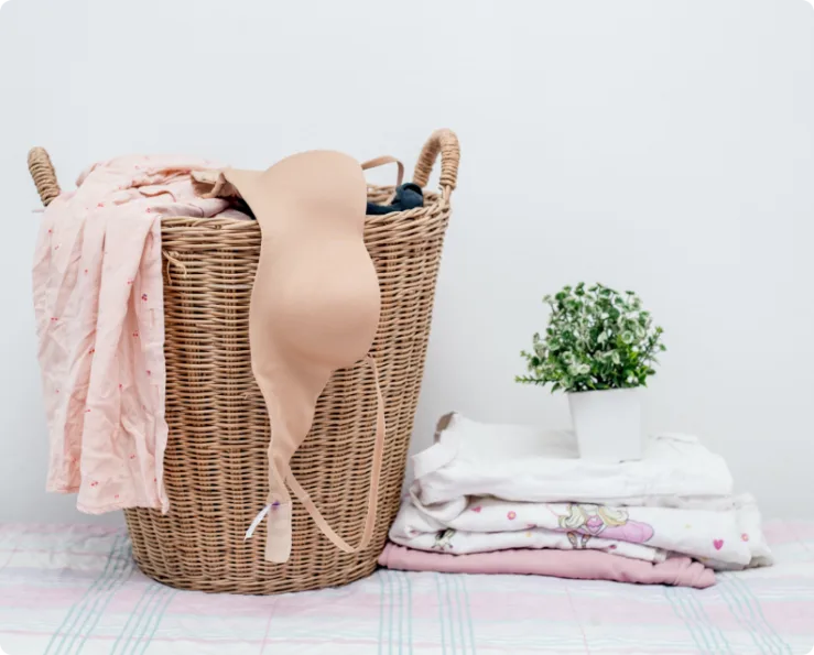 How to Wash Lingerie with Lenor 